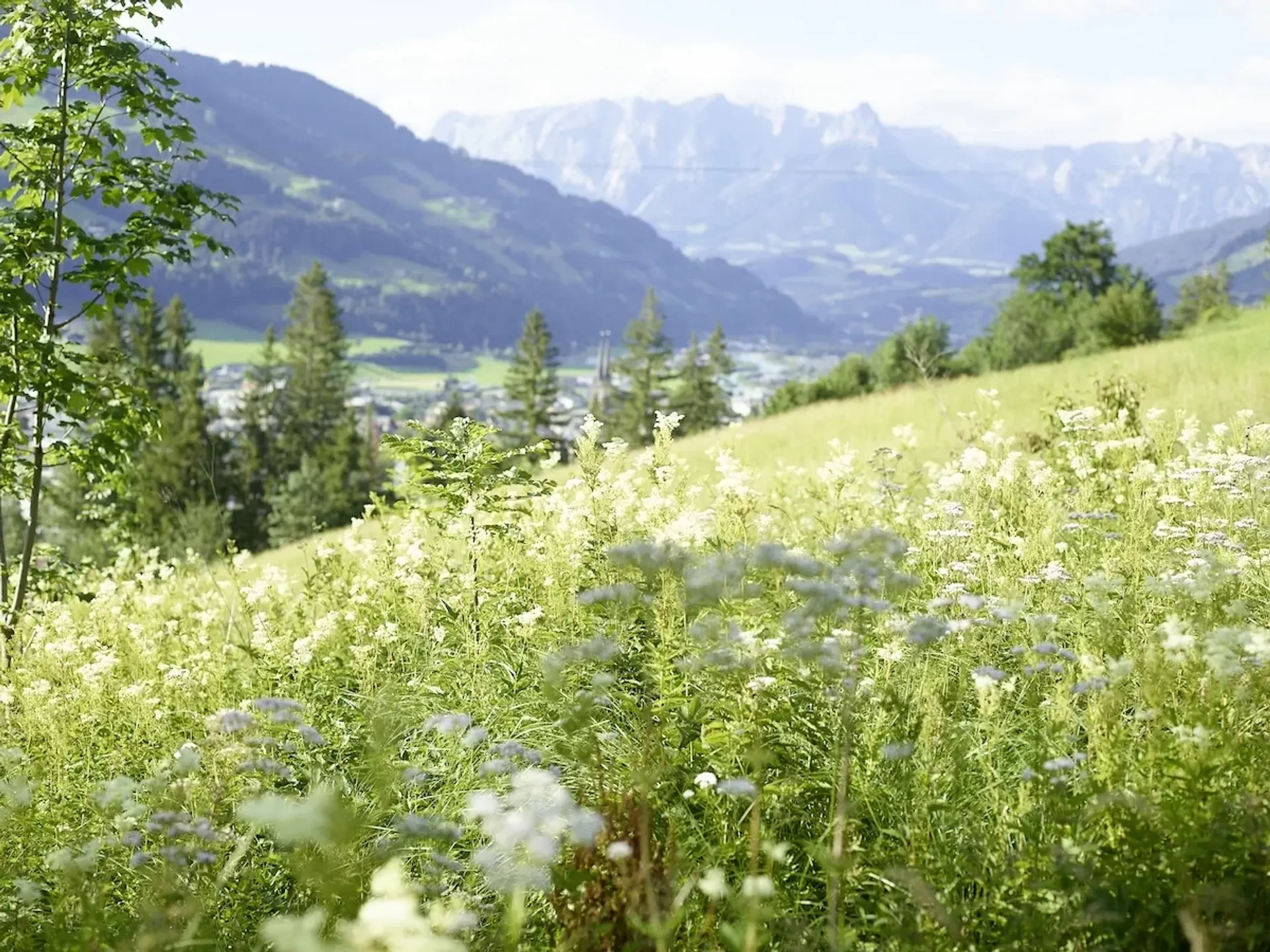 Yoga, Wildkräuter und Brotbacken mit Blick auf den Hochkönig - 4