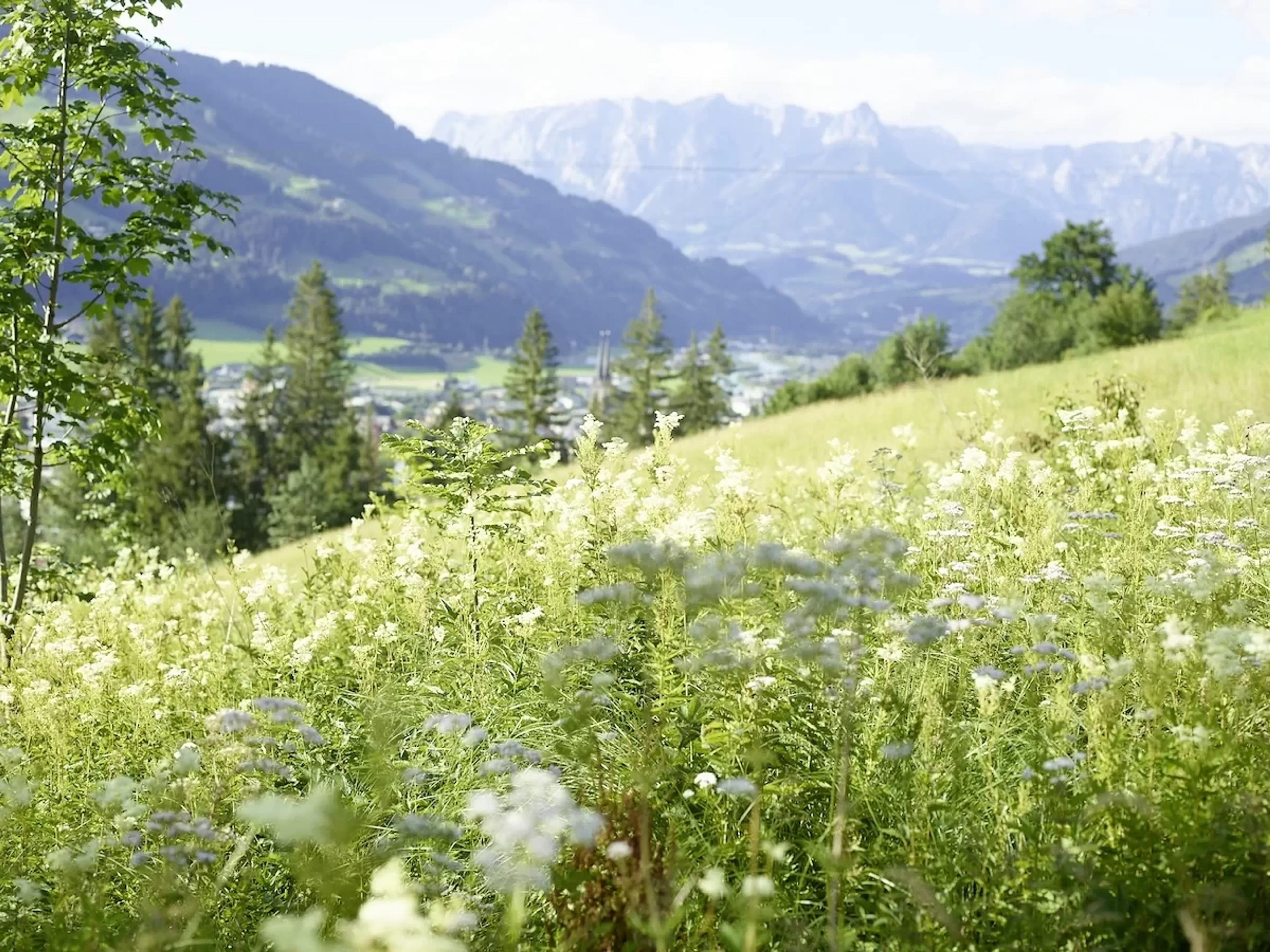 Yoga, Wildkräuter und Brotbacken mit Blick auf den Hochkönig - 4