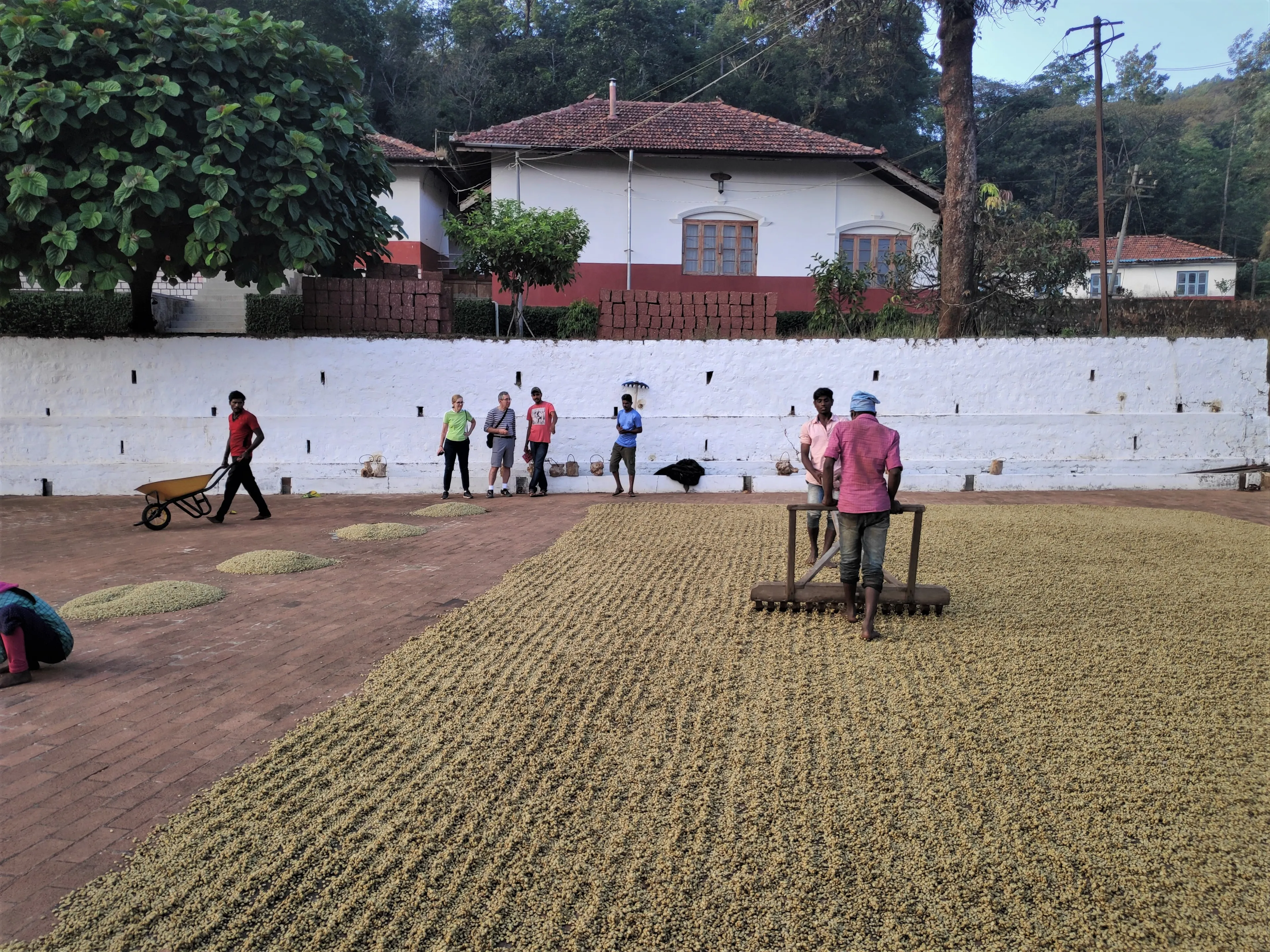 15-tägige Radreise von Goa nach Kerala - 2