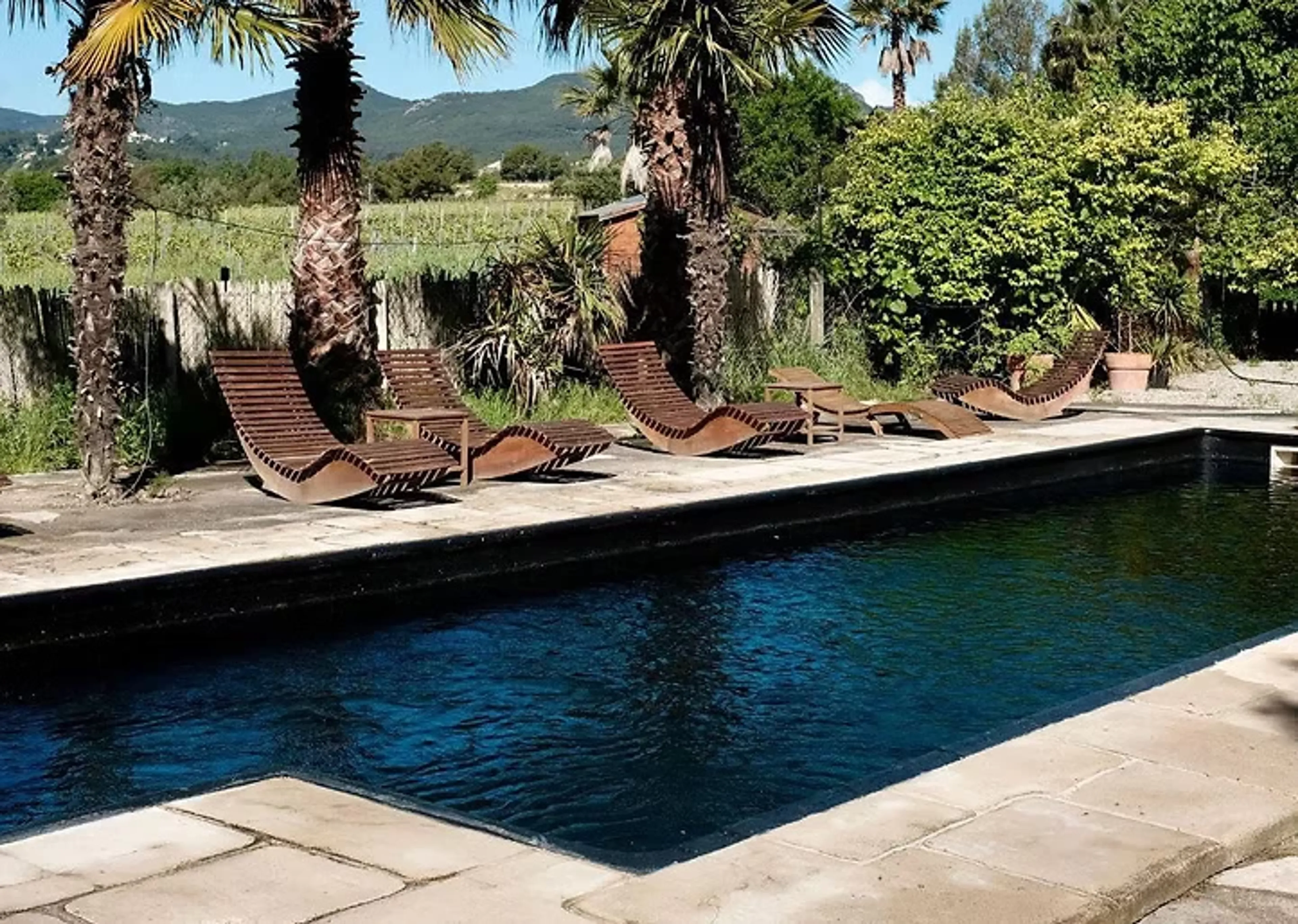 Yoga, Natur und Verbundenheit inmitten spanischer Weinberge - 3