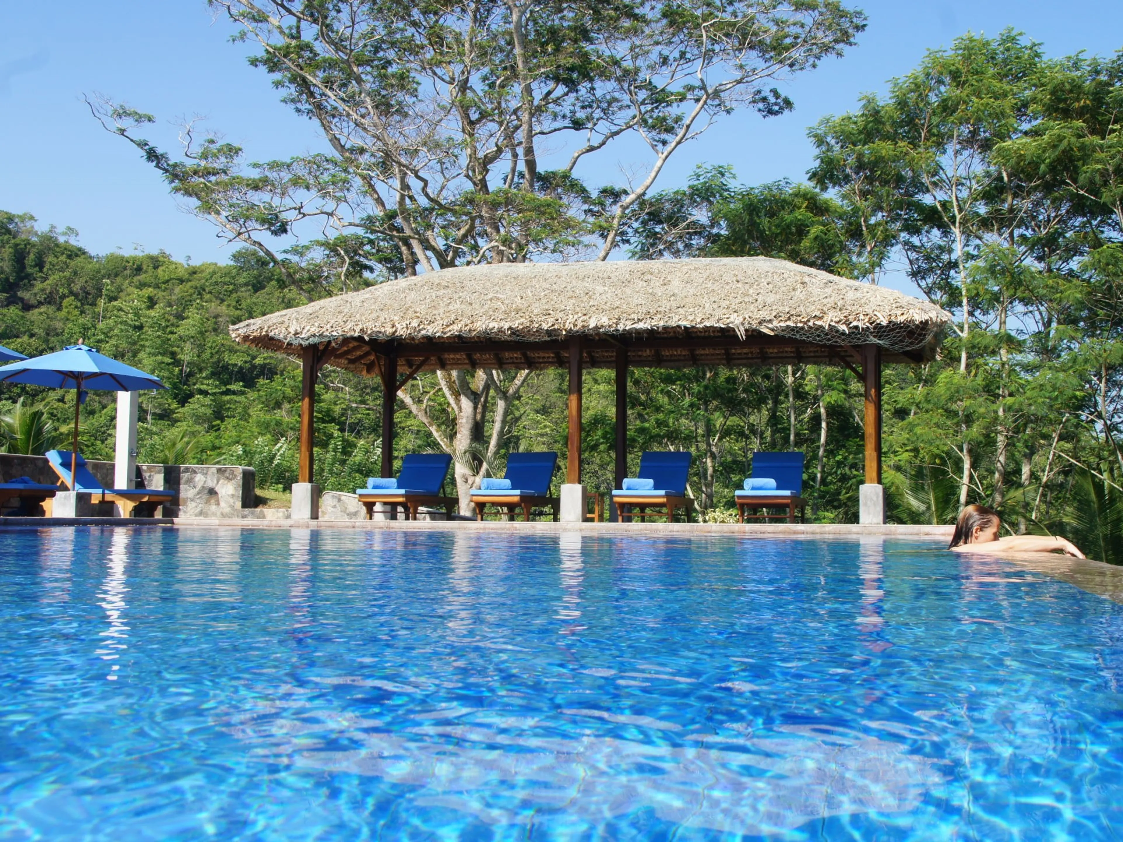 Dein Hatha & Yin Yoga Balance Retreat inmitten einer Teeplantage - 3