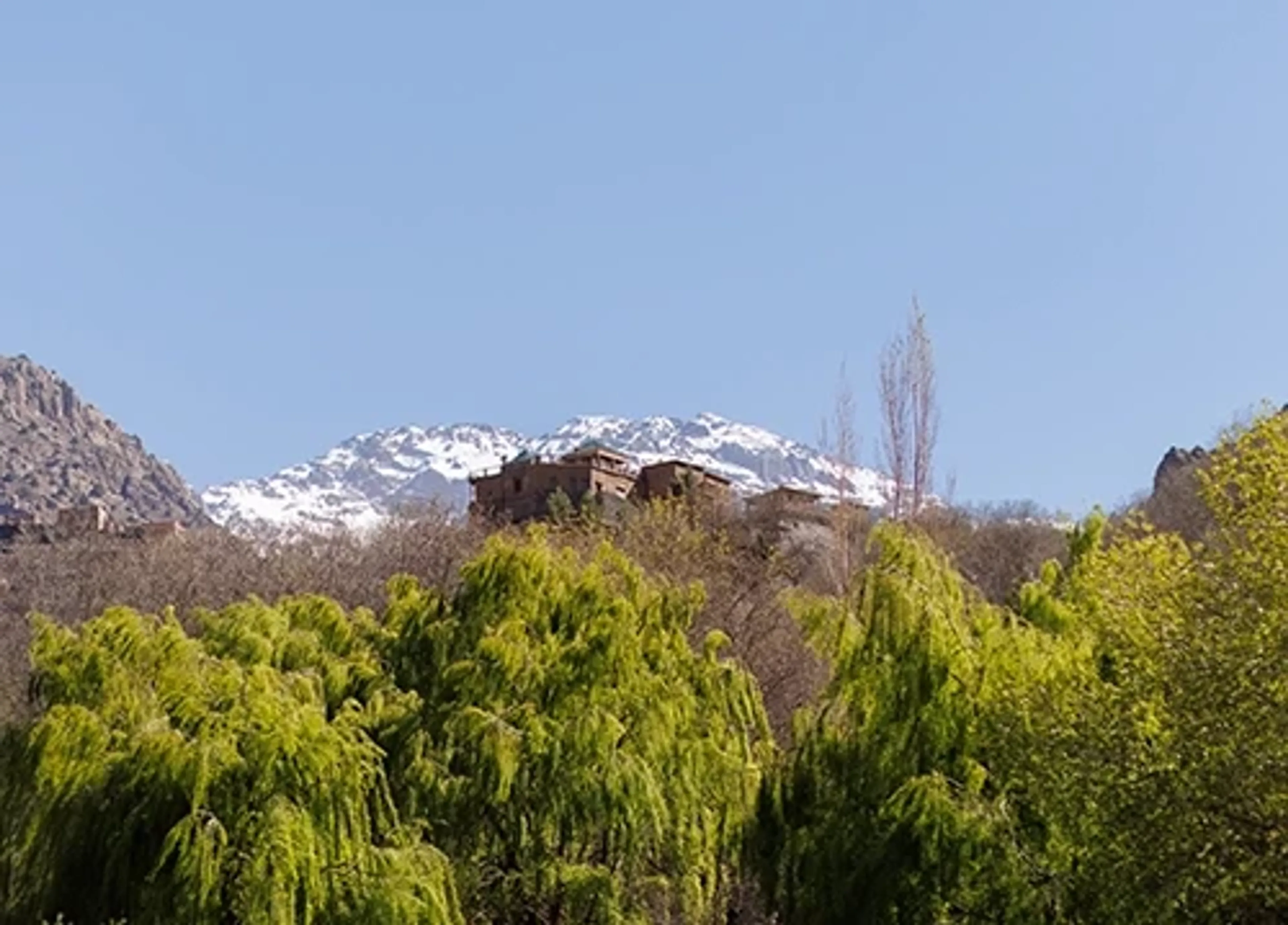 Yoga und Abenteuer: Entdecke Marrakesch und die Atlasberge - 5