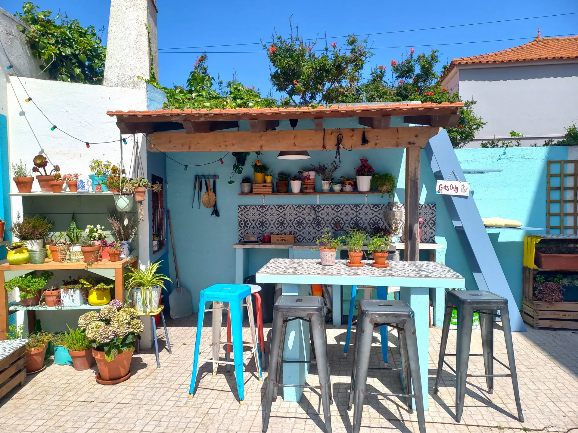 Weltklasse-Wellen im gemütlichen Gästehaus in Portugals Surfparadies - 5