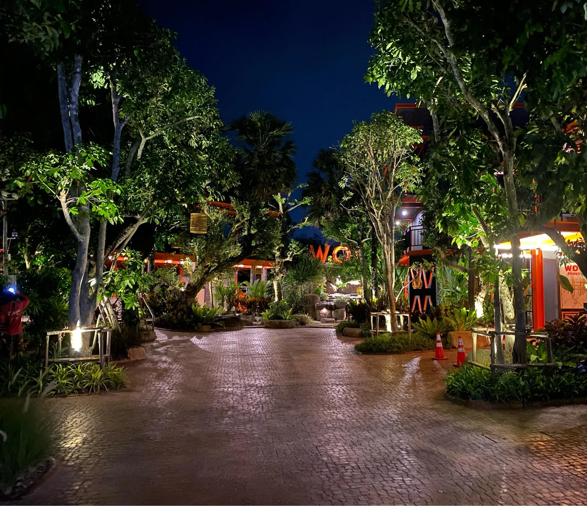 Wasserfasten & Yoga – Entlastung und Achtsamkeit auf Phuket - 4