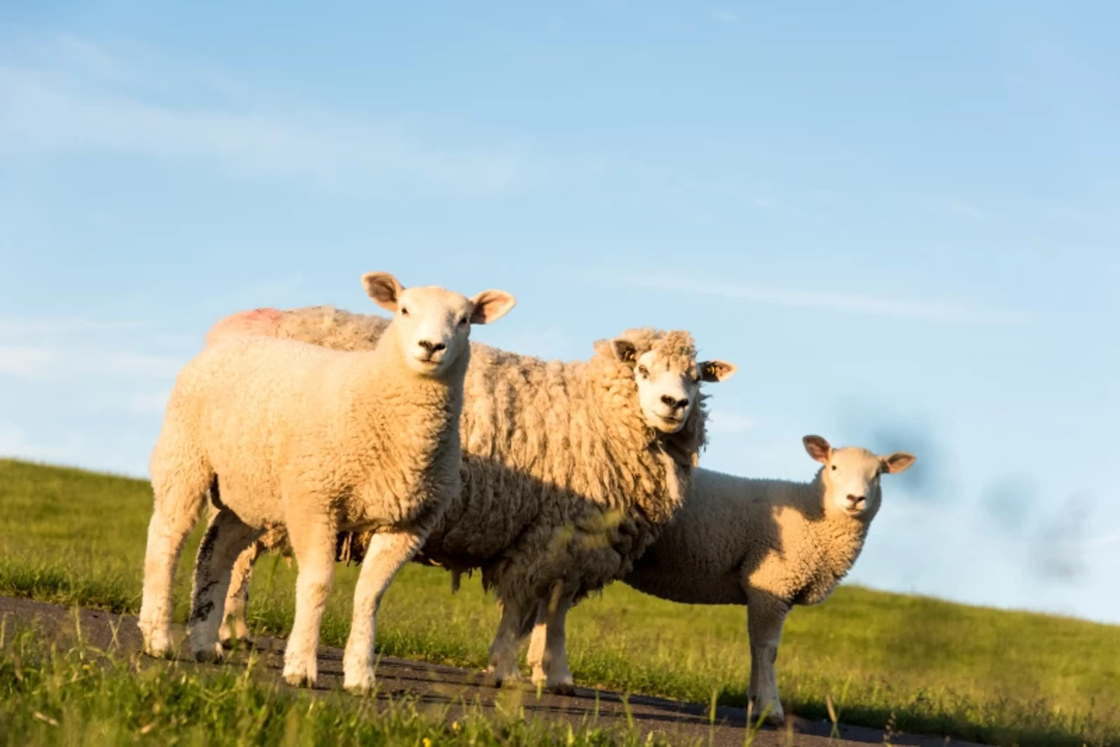 Tief einatmen & Stress loslassen: Dein Yoga-Retreat an der Nordsee - 4