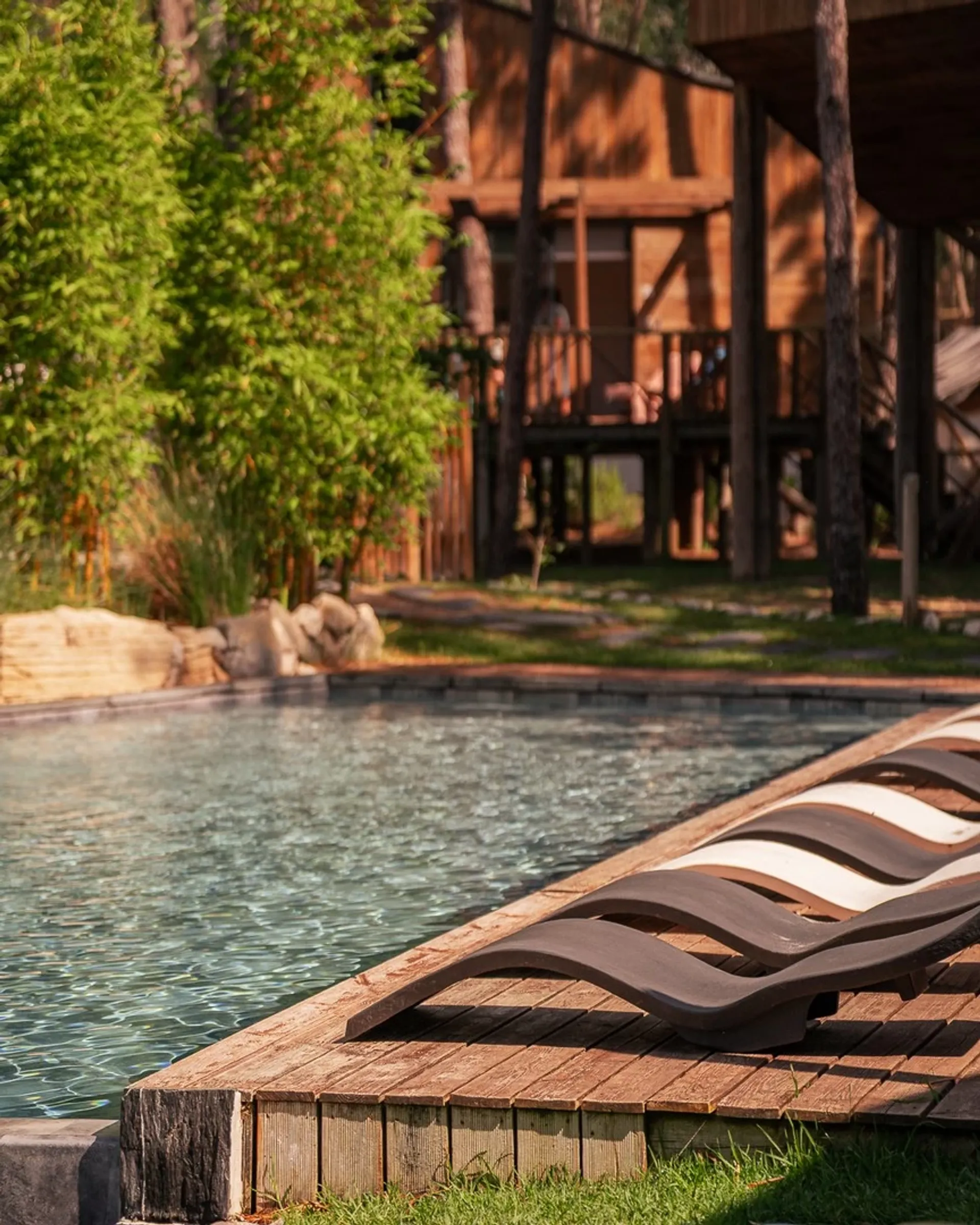 Eco-Resort zwischen Himmel und Erde: Surfen, Yoga und Naturliebe - 2