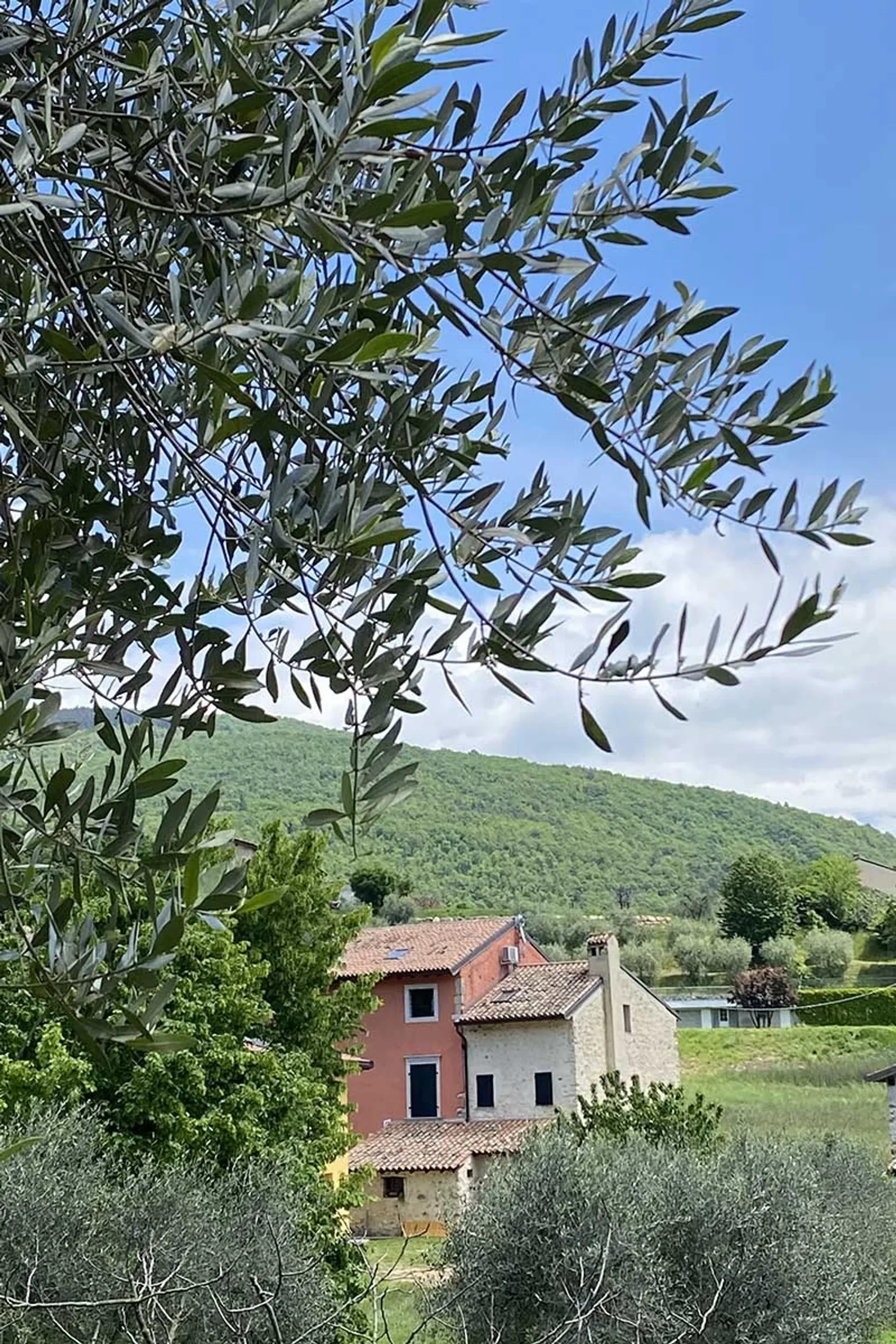 Erlebe la Dolce Vita: Yoga, Meditation und Kulinarik am Gardasee - 2