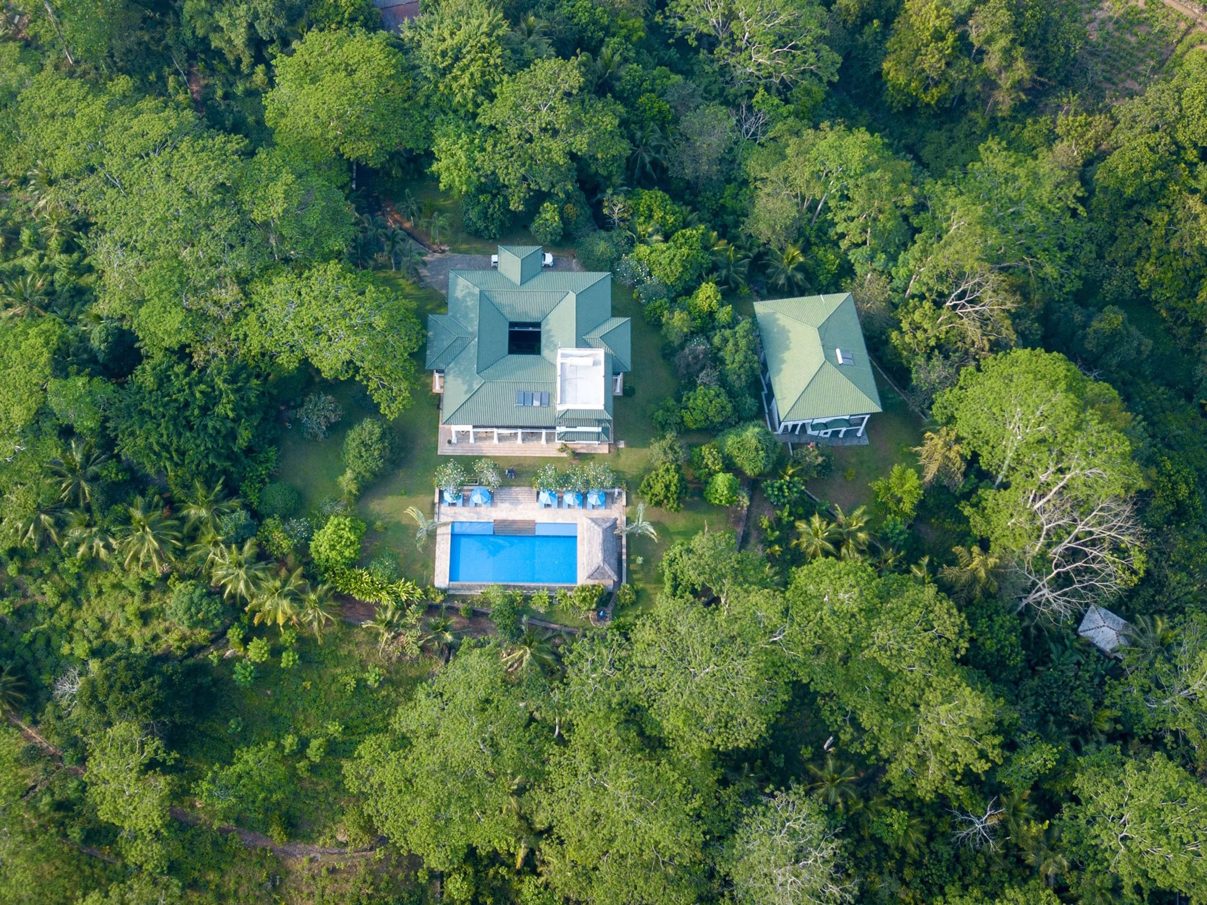 Dein Hatha Yoga Bliss Retreat inmitten einer Teeplantage - 5