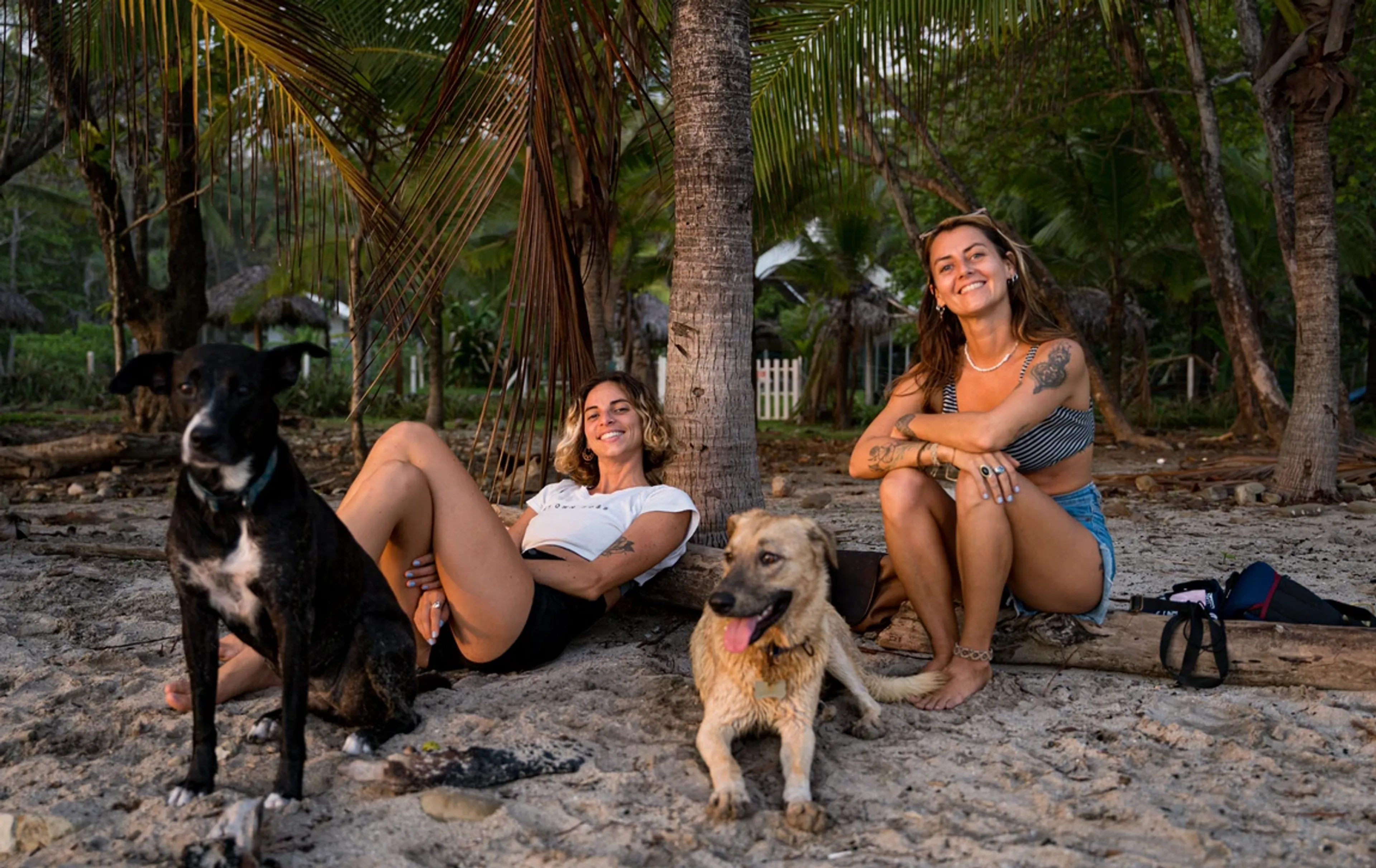 Surfen im Paradies: Dein Abenteuer voller Spaß erwartet dich! - 3