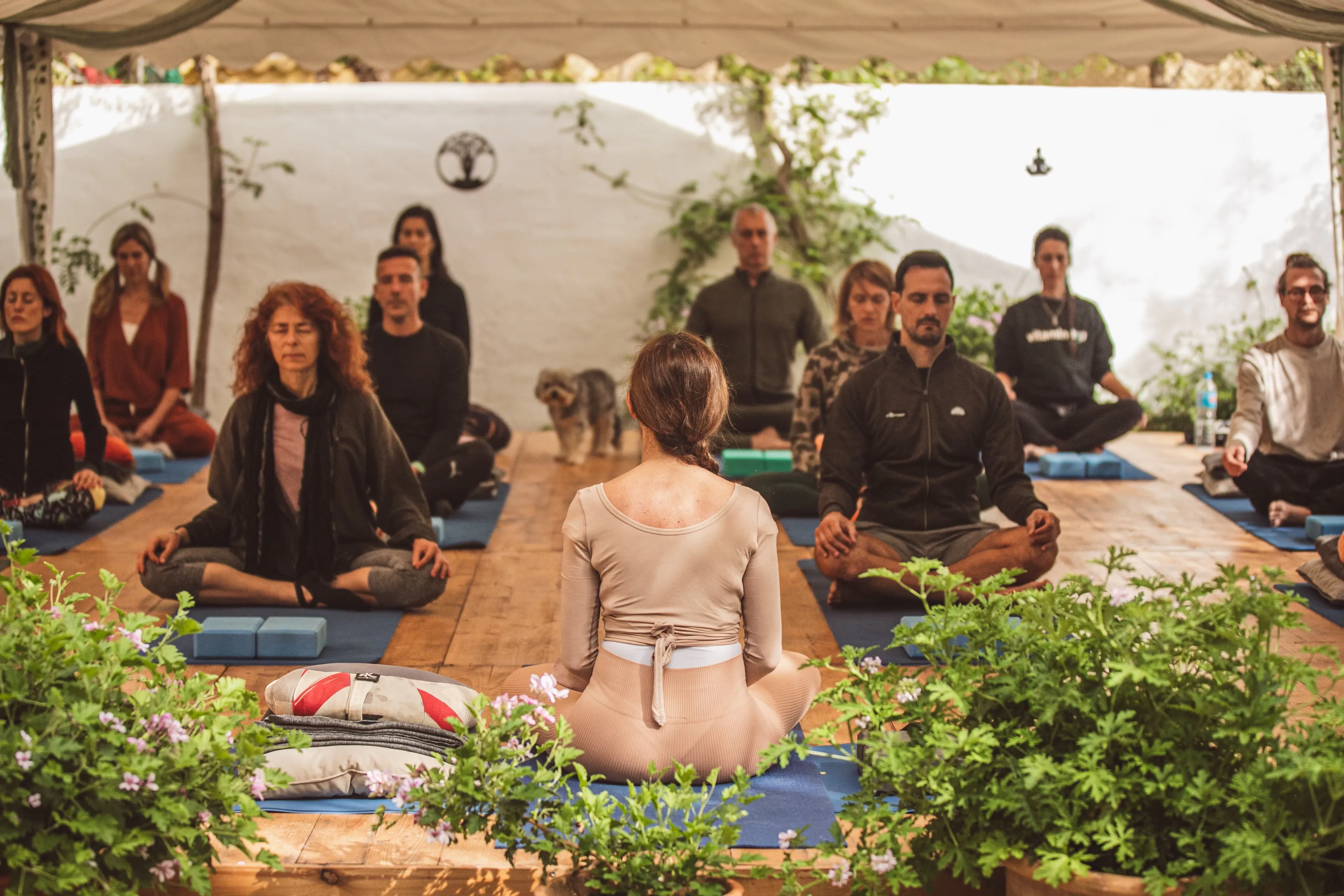 Yoga, Natur und Gelassenheit an der Küste: Ein transformatives Ibiza-Retreat - 3