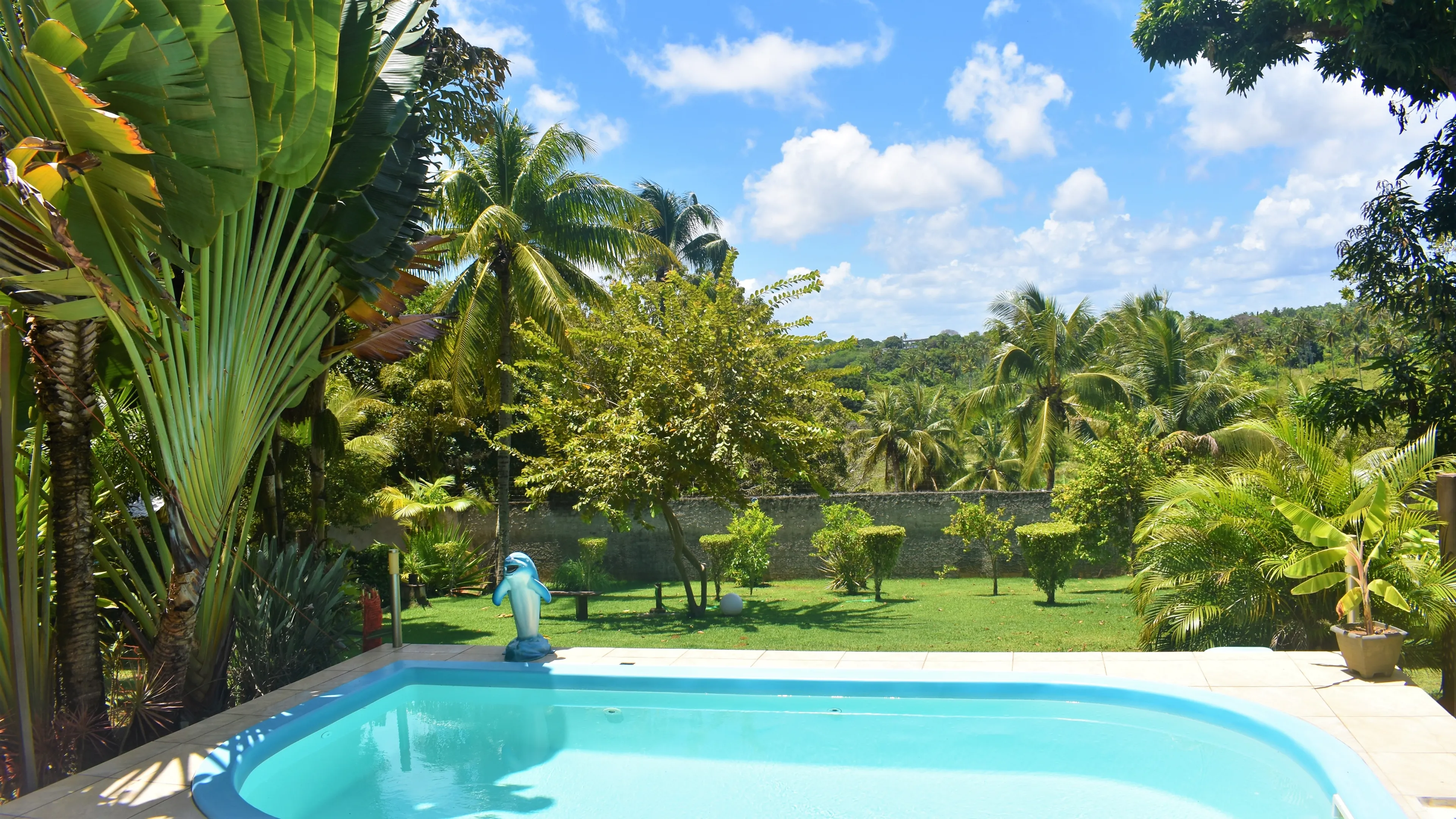 8 Tage Yoga, Meditation und Ayahuasca Zeremonie bei Salvador da Bahia - 3