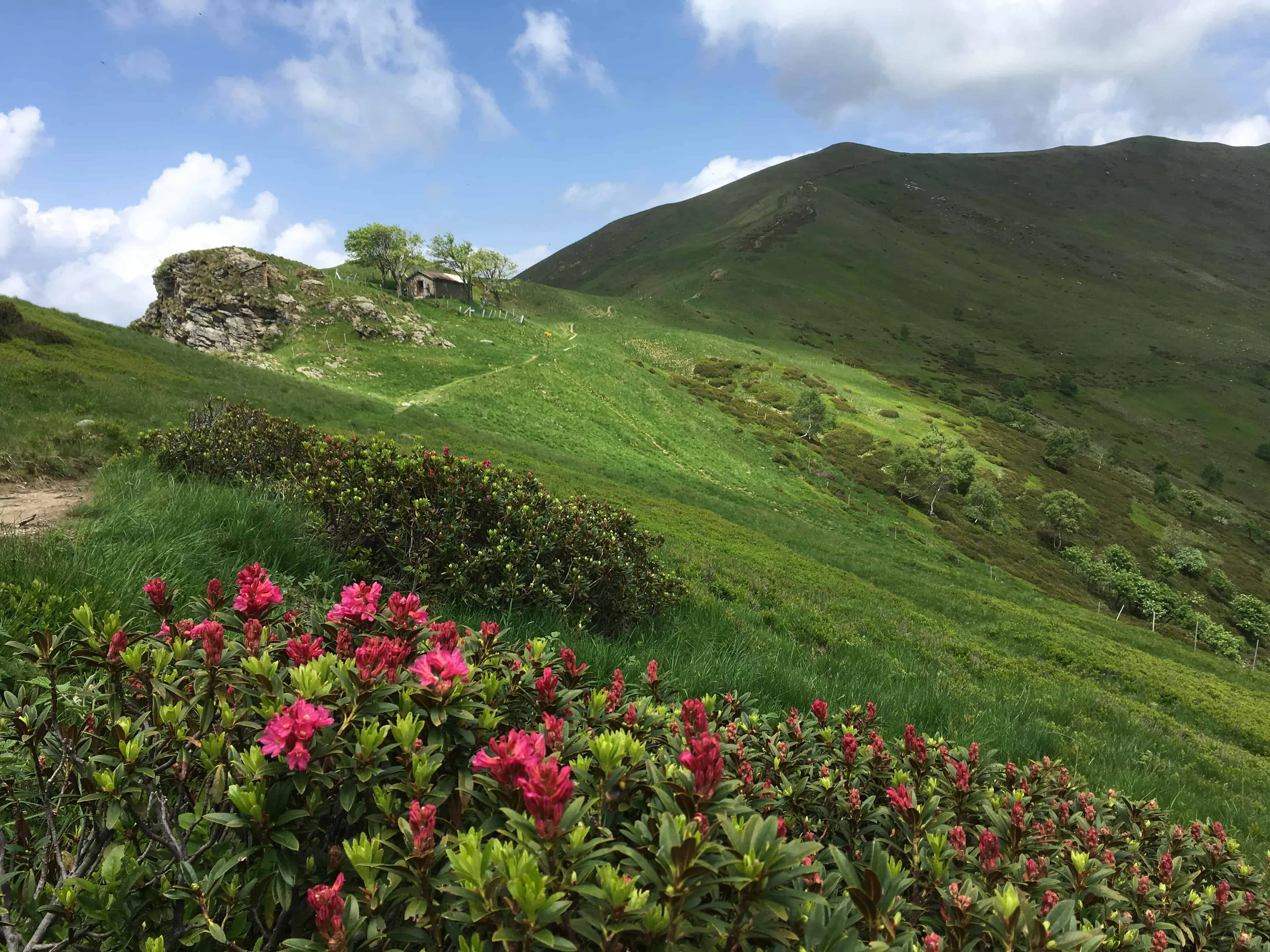 Malerische Yogawochen im Herzen des Malcantone - 4