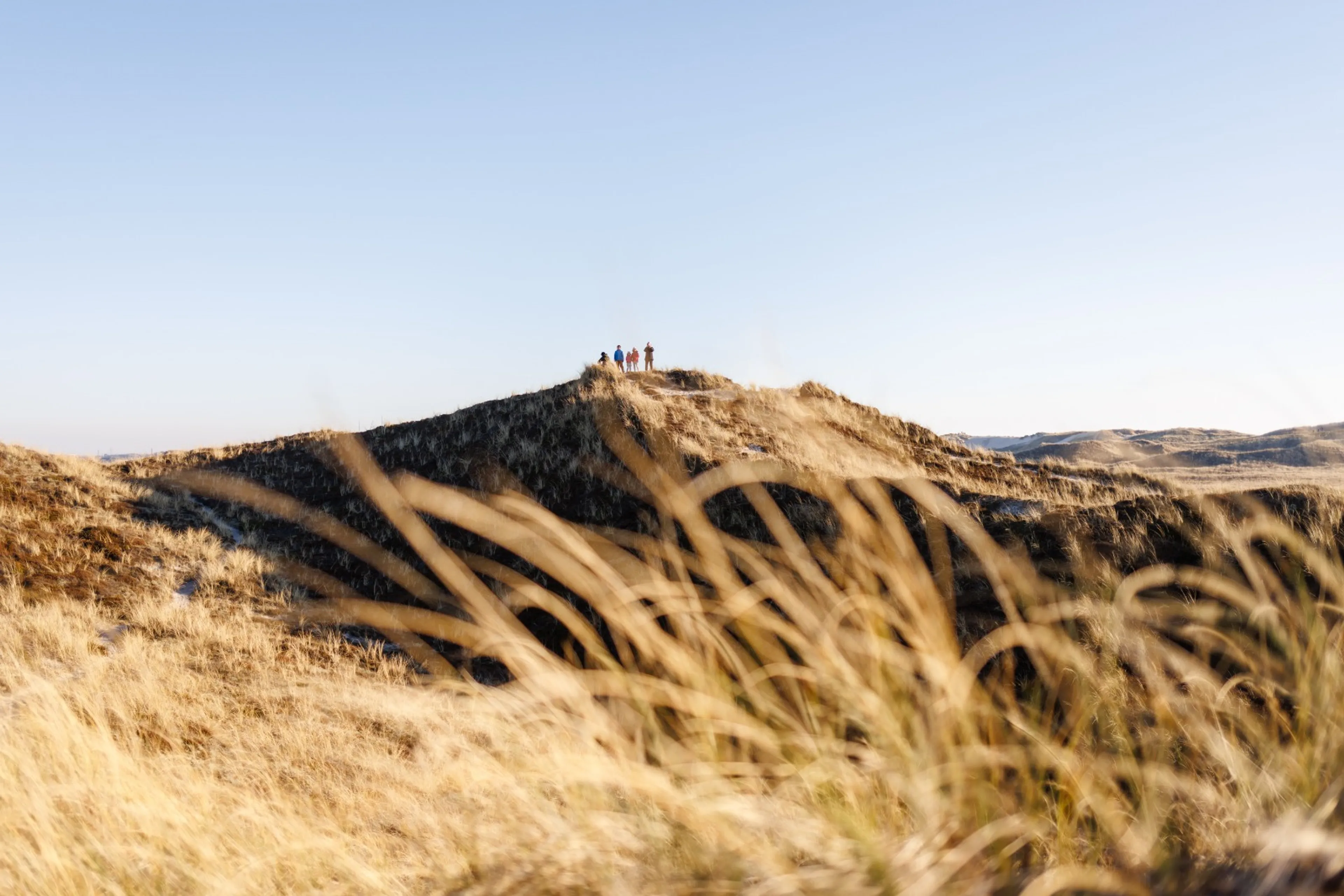 Yoga in Dänemark - Abschalten in den Weiten Skandinaviens - 4