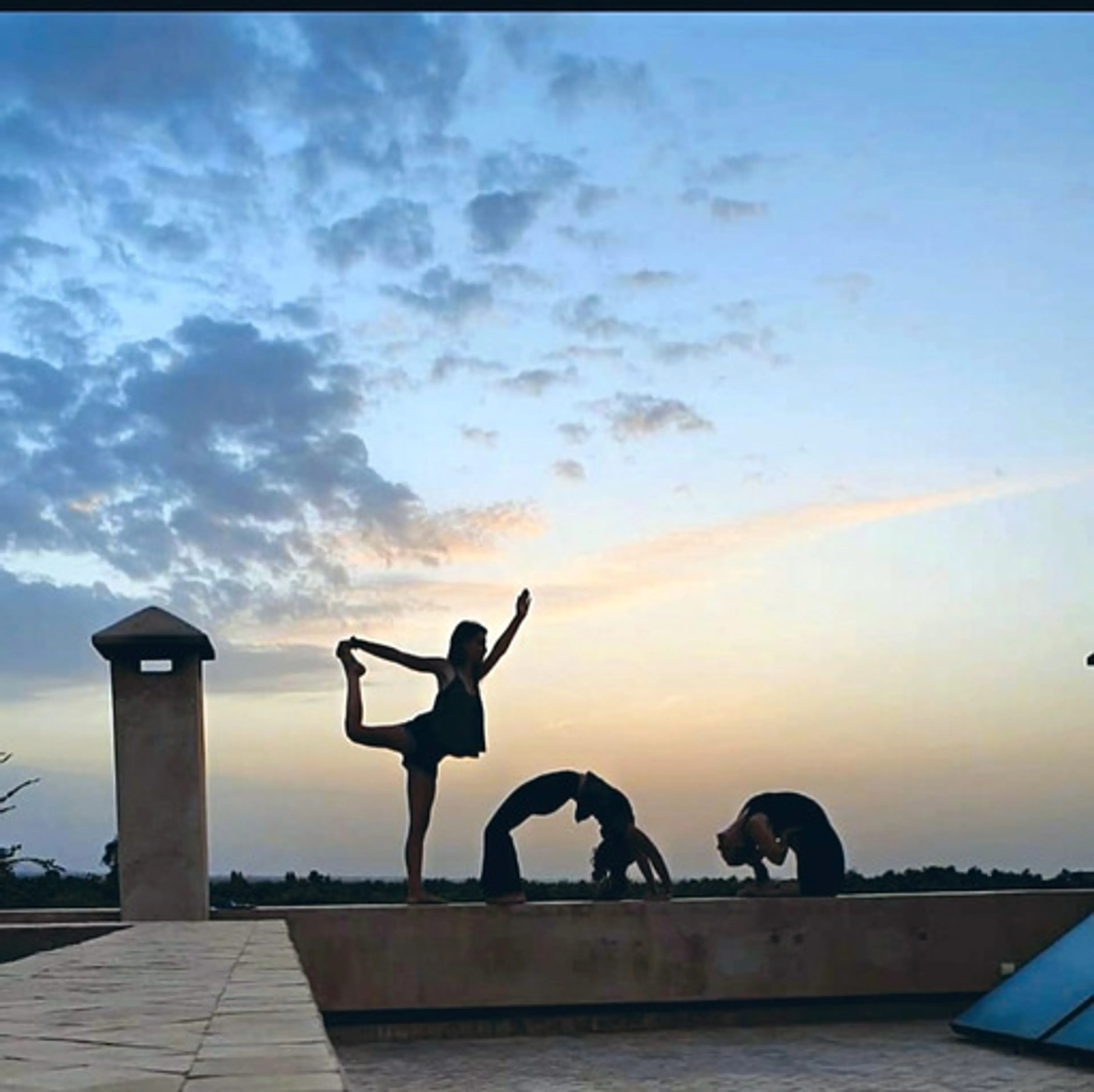 Yin Yoga, Meditation &  Restorative Teacher Training - 3