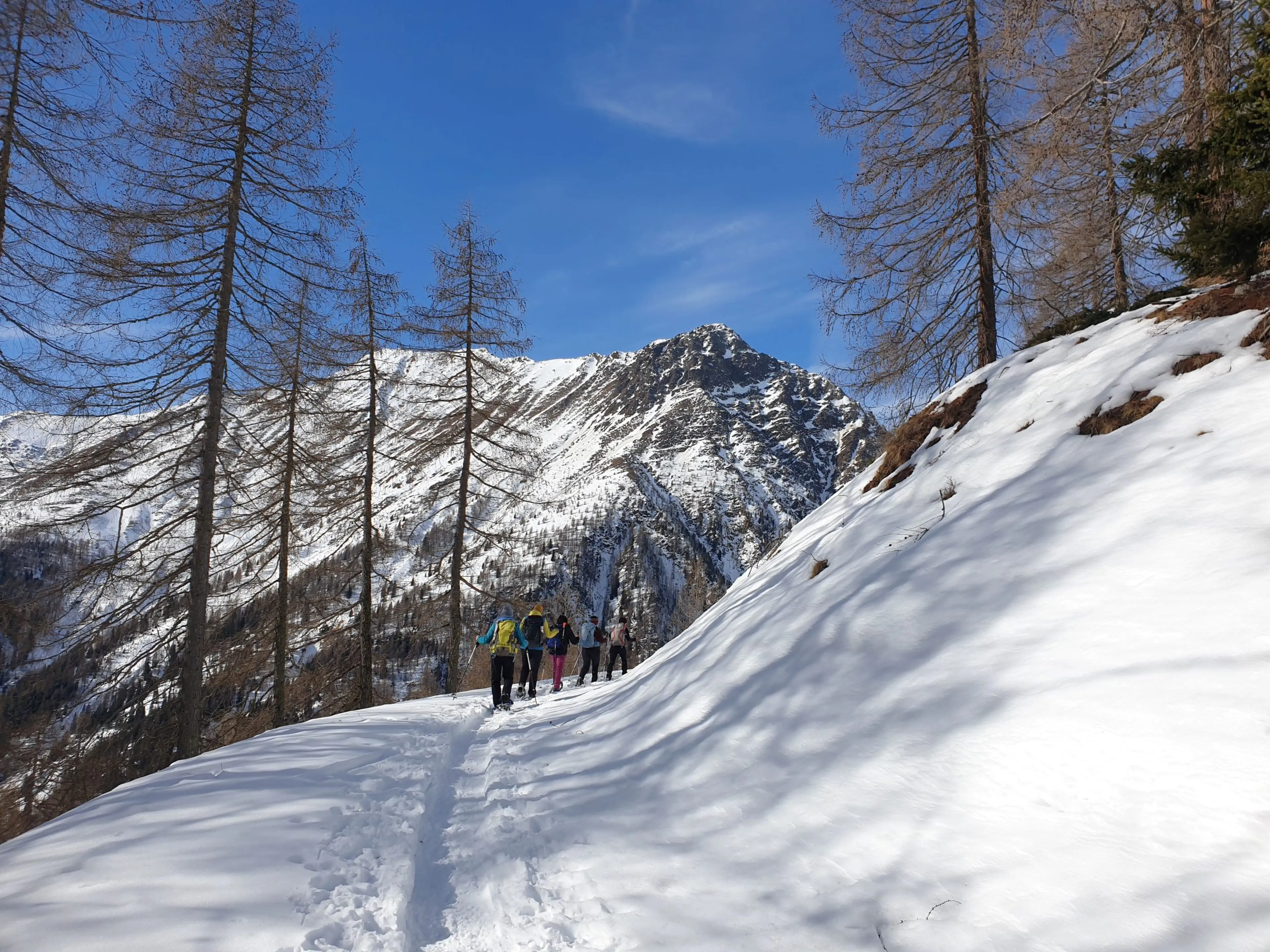 Schneeschuhwandern vor traumhafter Kulisse in Tirol - 5