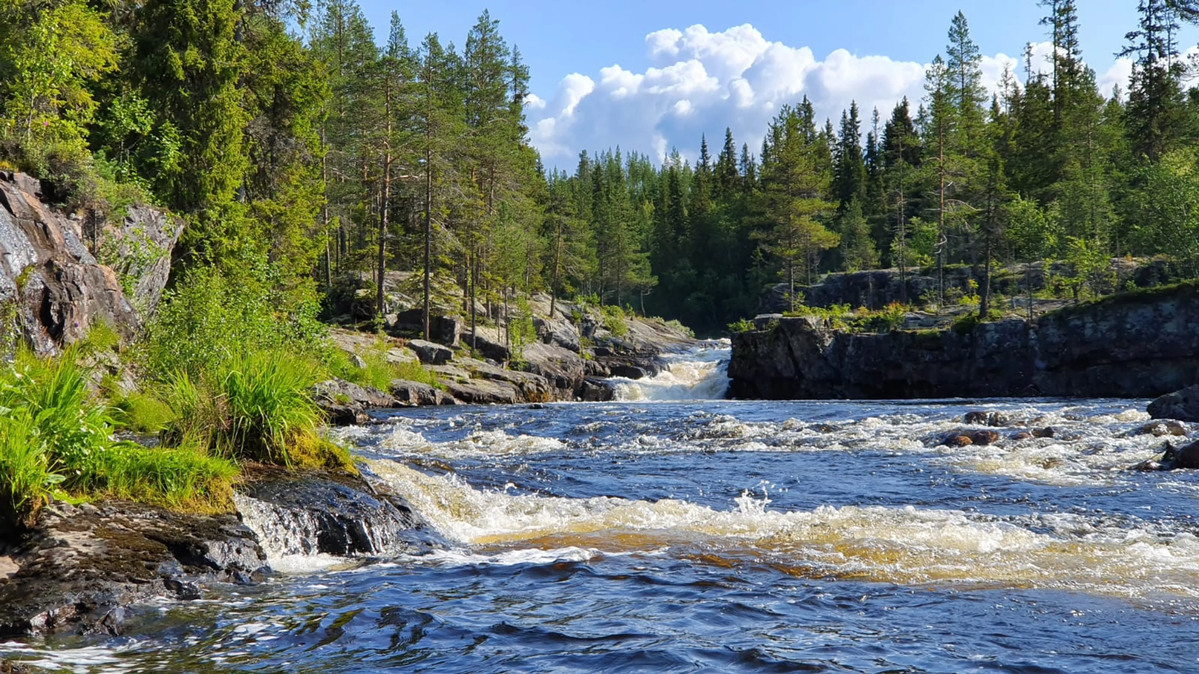 Abwechslungsreiche Aktivwoche in der Natur von Idre - 5