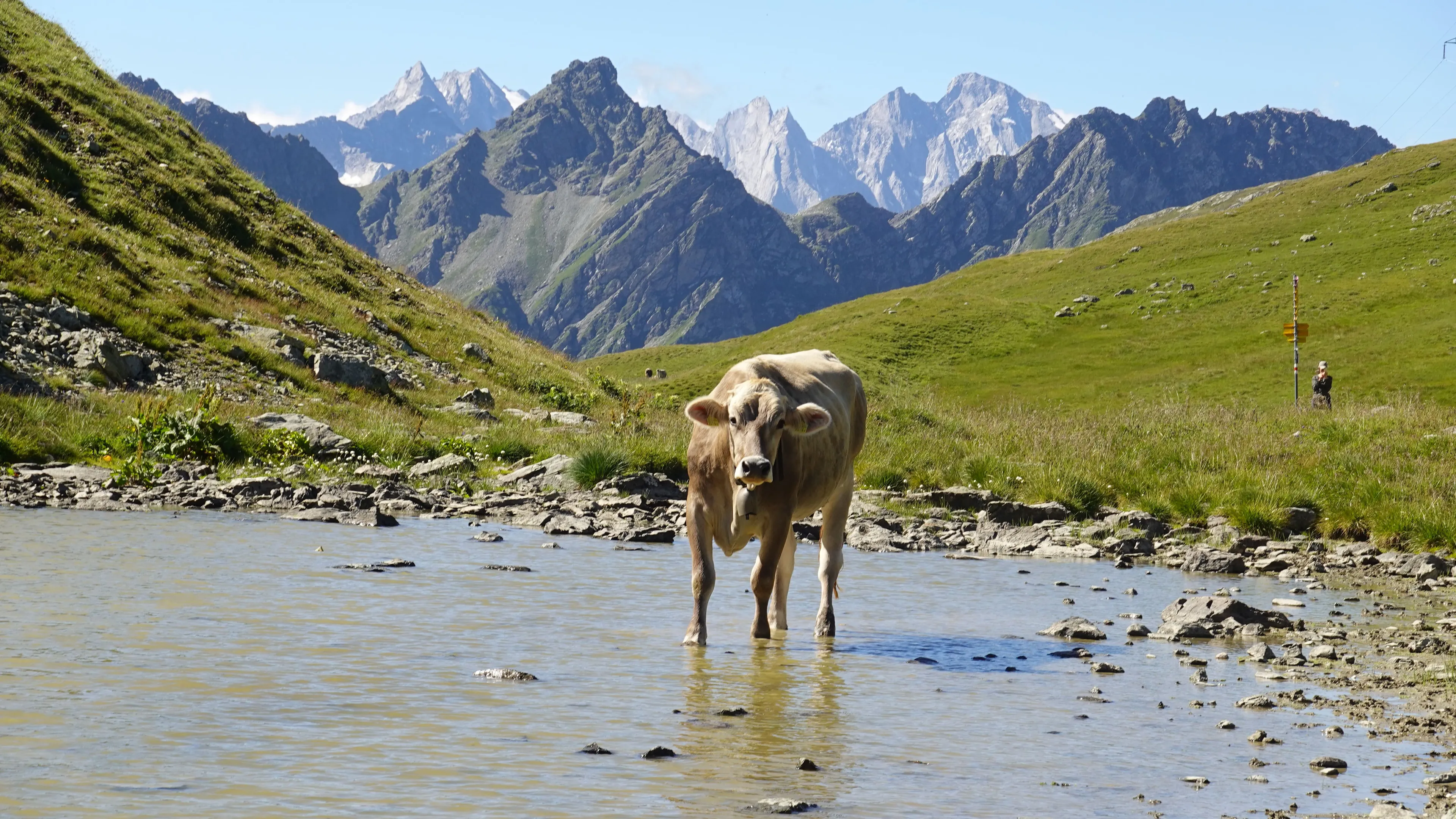 Bergwanderwoche im Komfort-Hotel in der zauberhaften Natur Graubündens - 3