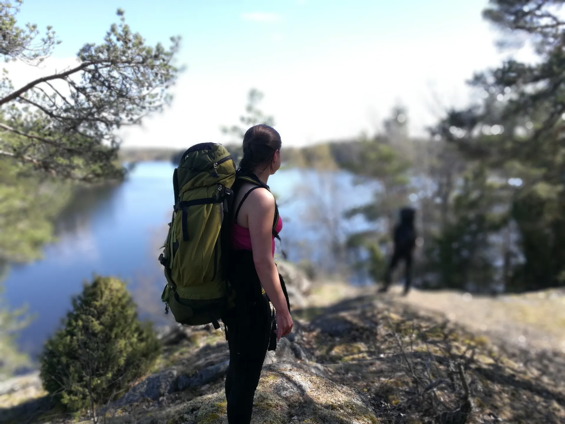 Expedition durch die Wildnis: Erkunde Schwedens Natur