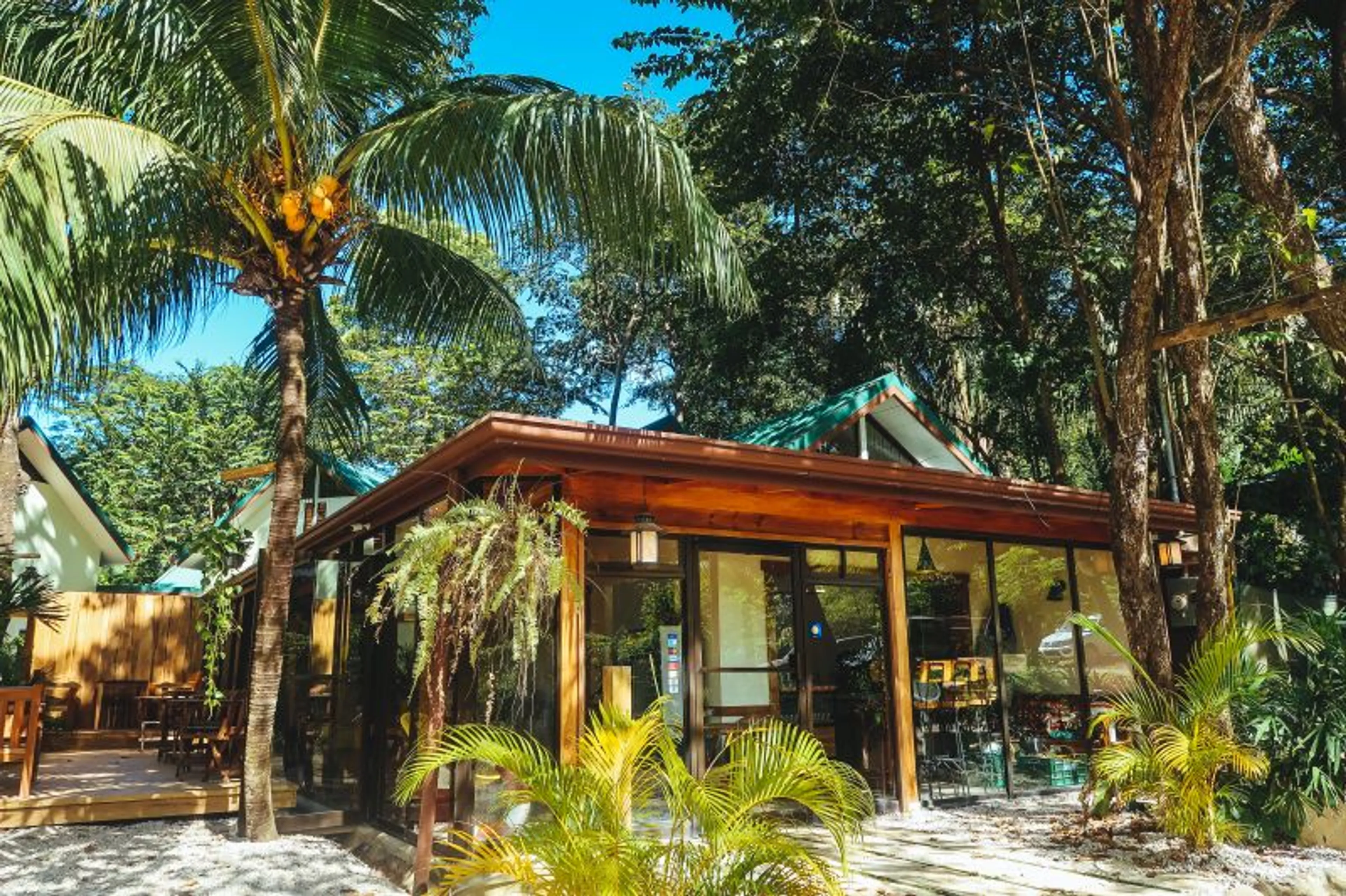 Costa Rica Surf Adventure: Sonne, Sand & Wellenspaß für alle Levels - 1