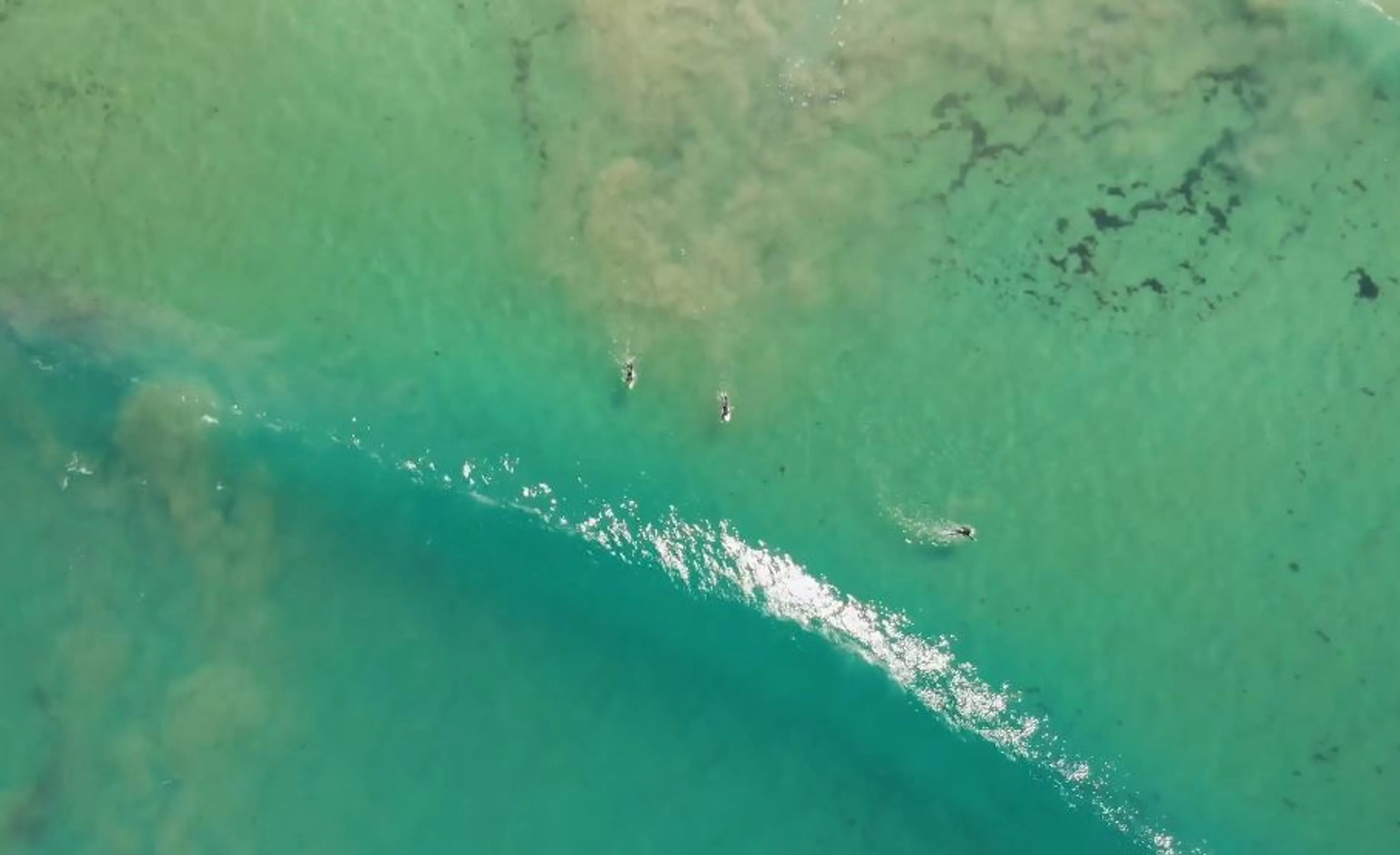 Surfcamp in Gijon: Erlebe das wahre Asturien - 4