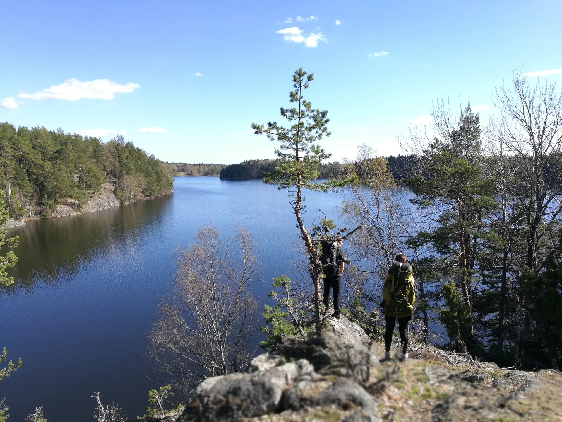 Expedition durch die Wildnis: Erkunde Schwedens Natur - 5