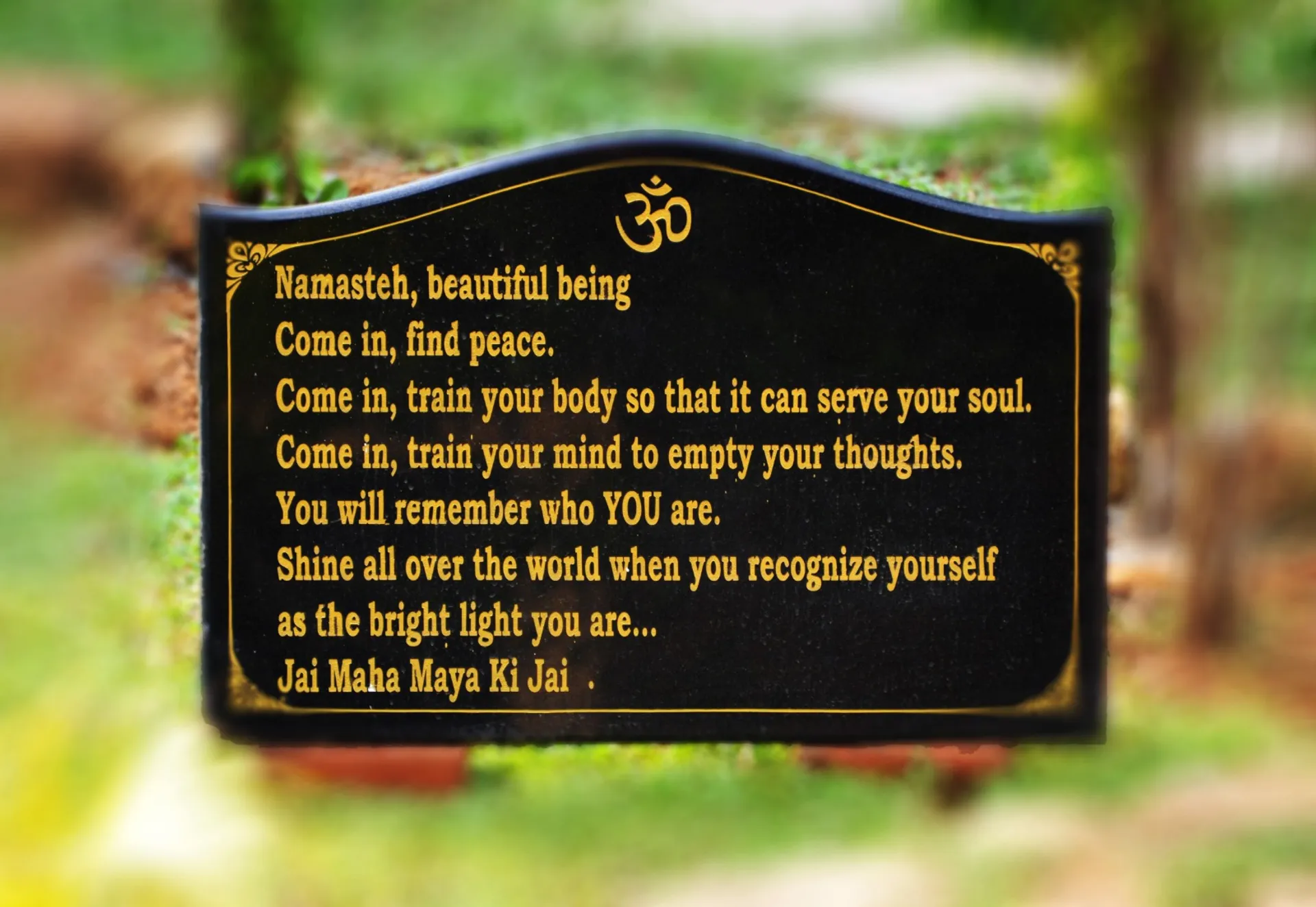 HIAO Yoga- und Meditationsretreat in Indien - 4