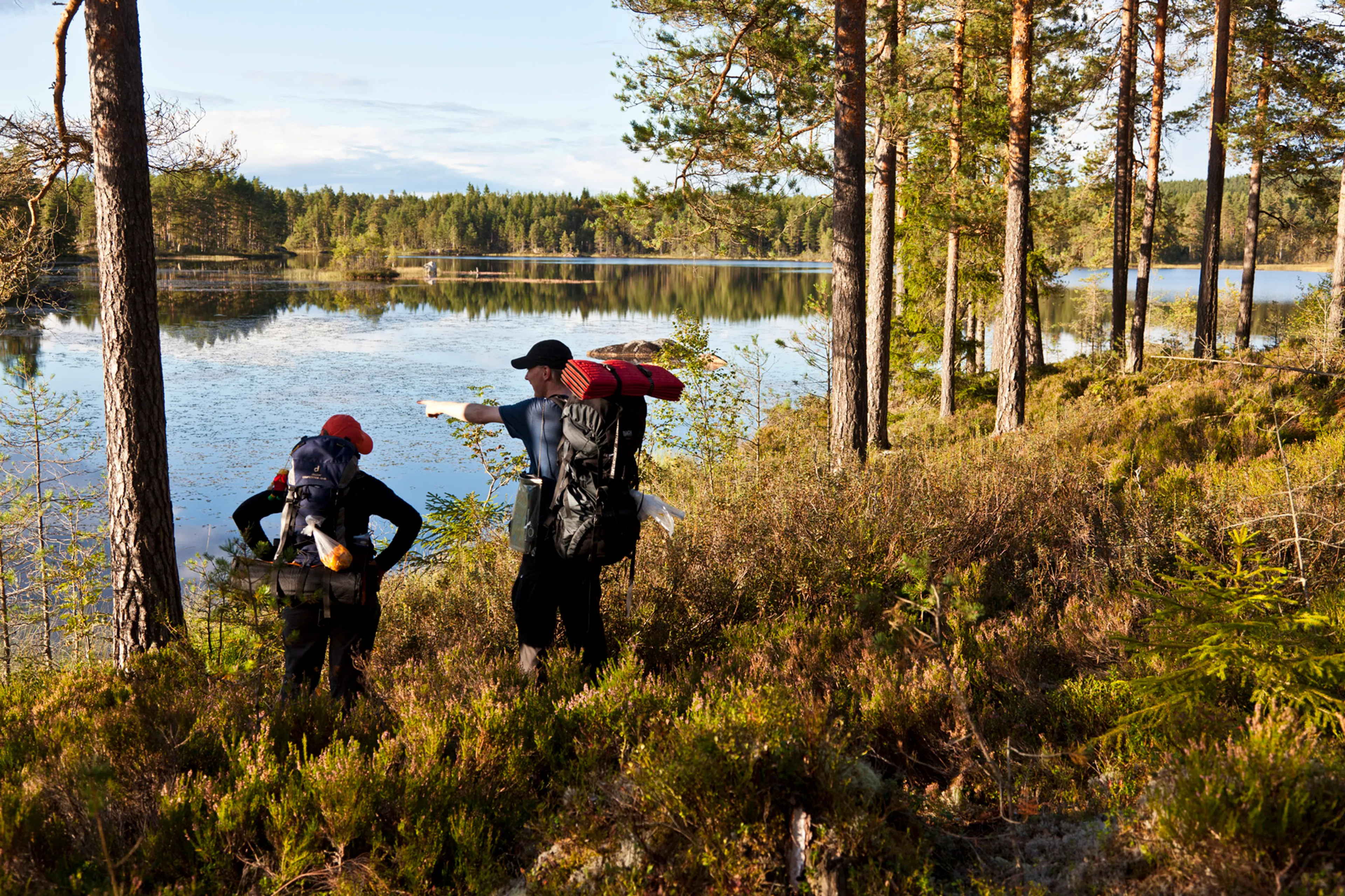 Erlebnistour durch das Naturreservat Glaskogen - 2