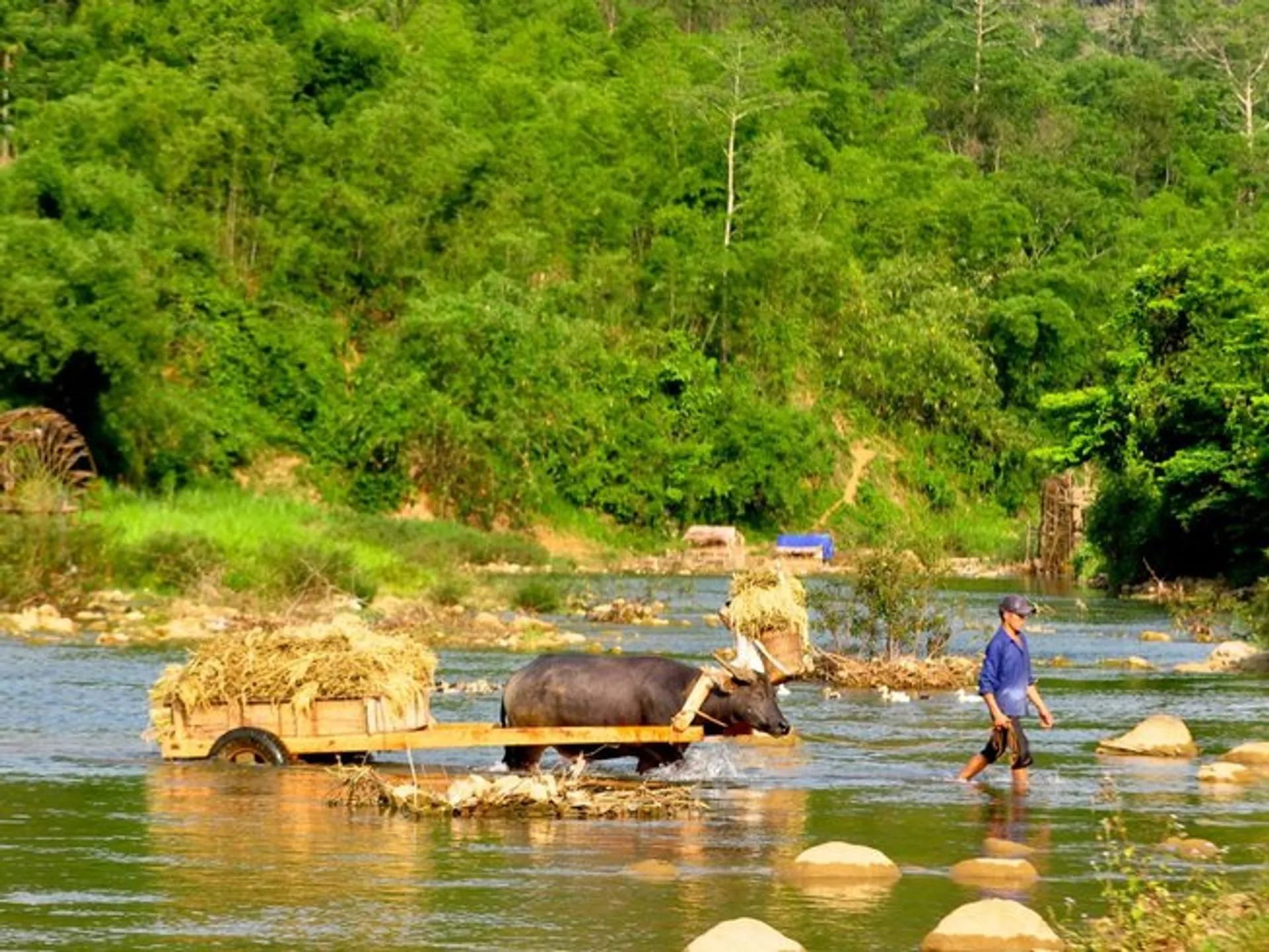 Yogareise durch Vietnam und Kambodscha - 3