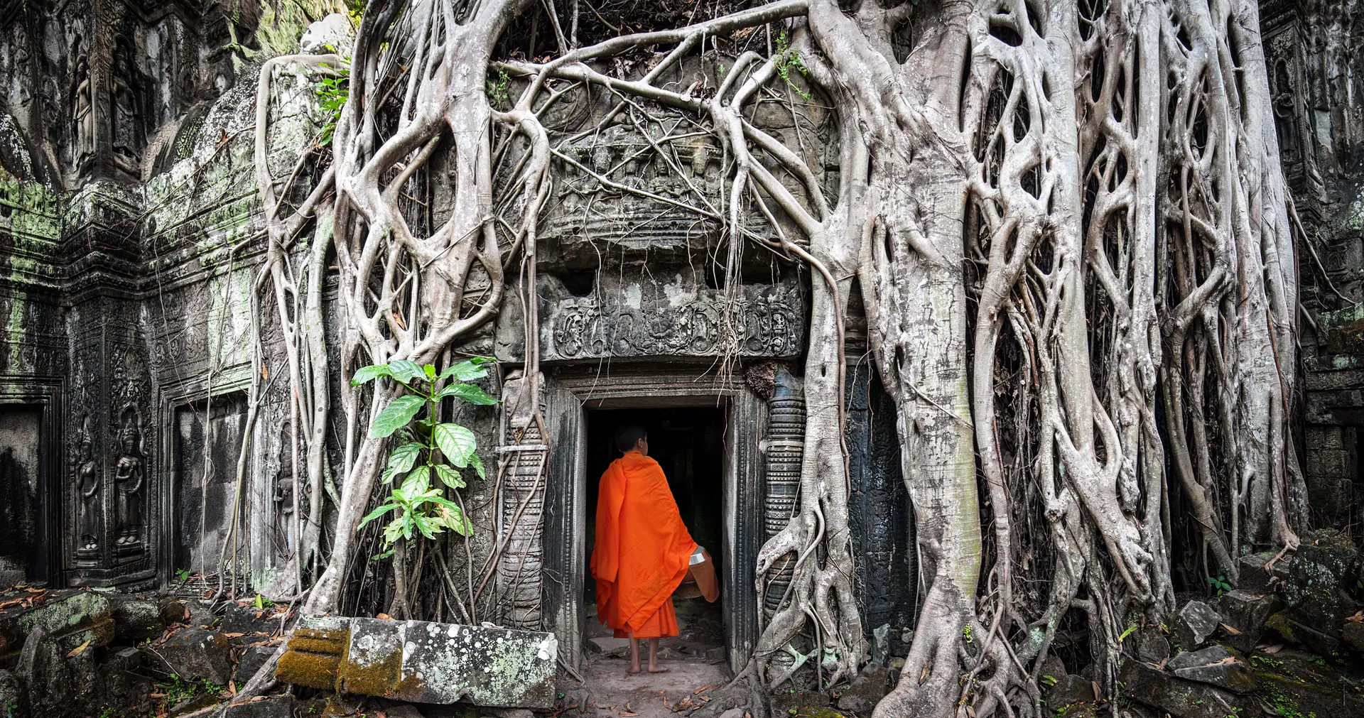 Siem Reap Abenteuer-Tour: Trekking und Camping im Kulen-Gebirge - 3