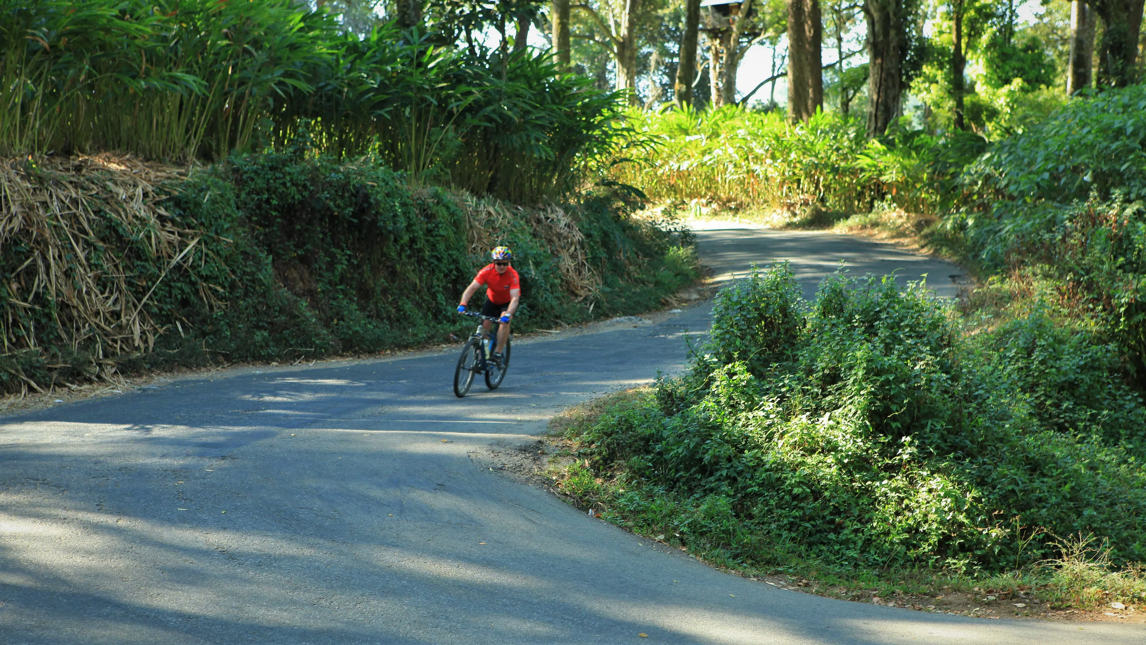 15-tägige Radreise von Goa nach Kerala - 1