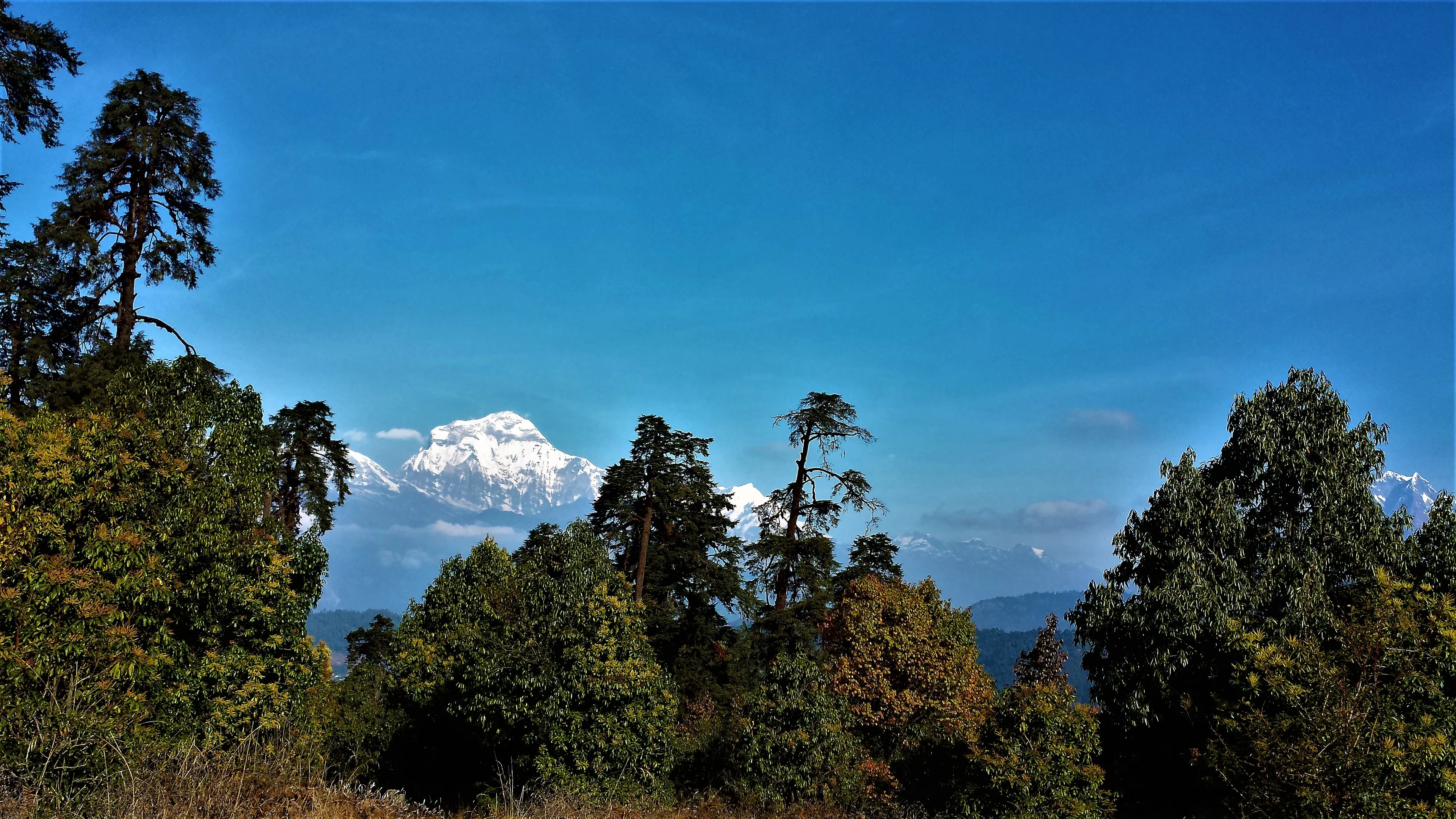 Kulturelles Trekking durch Nepals einzigartige Natur - 5