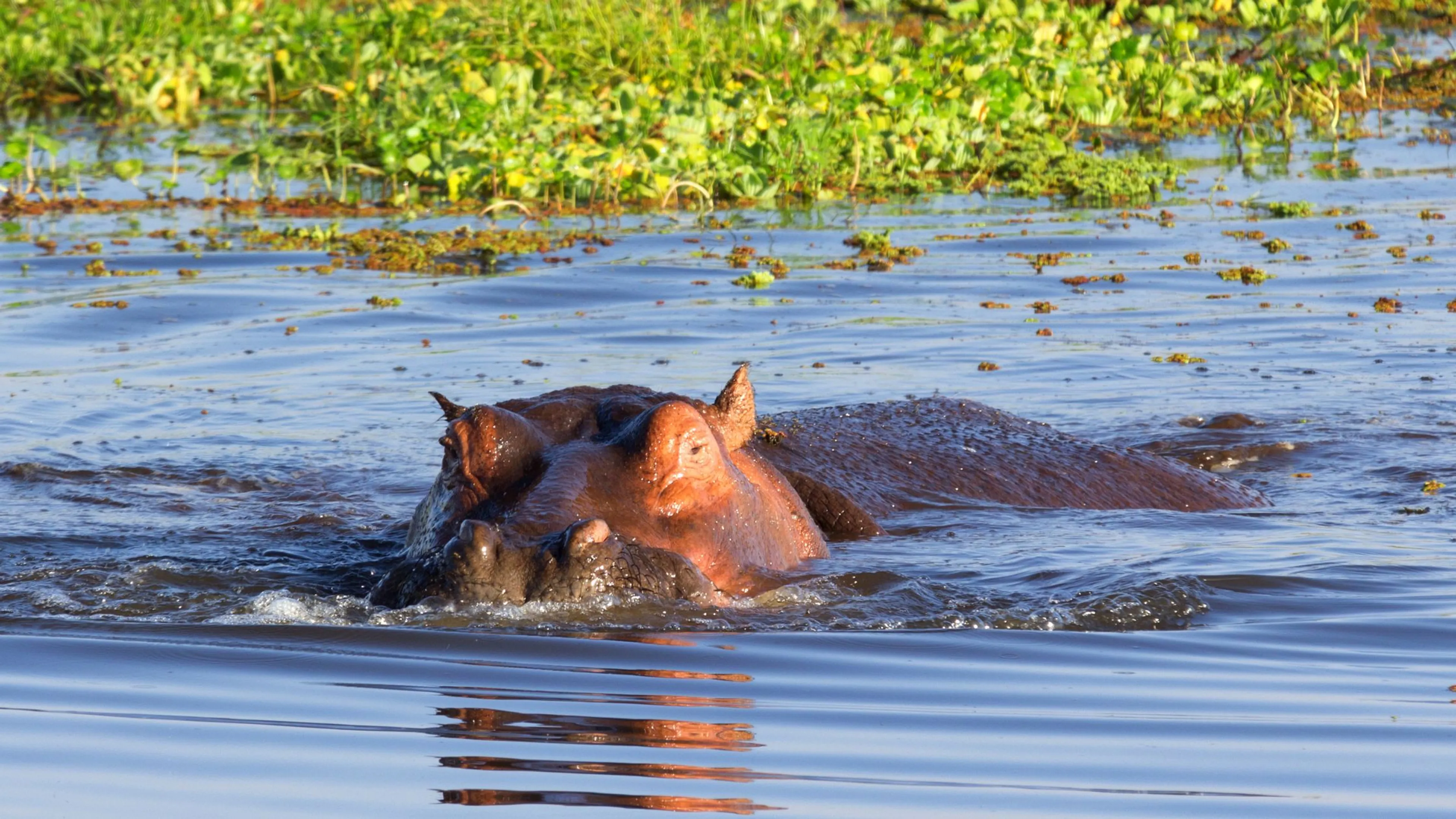 Aktive Kenia Safari: Erkunde die endlose Savanne - 5