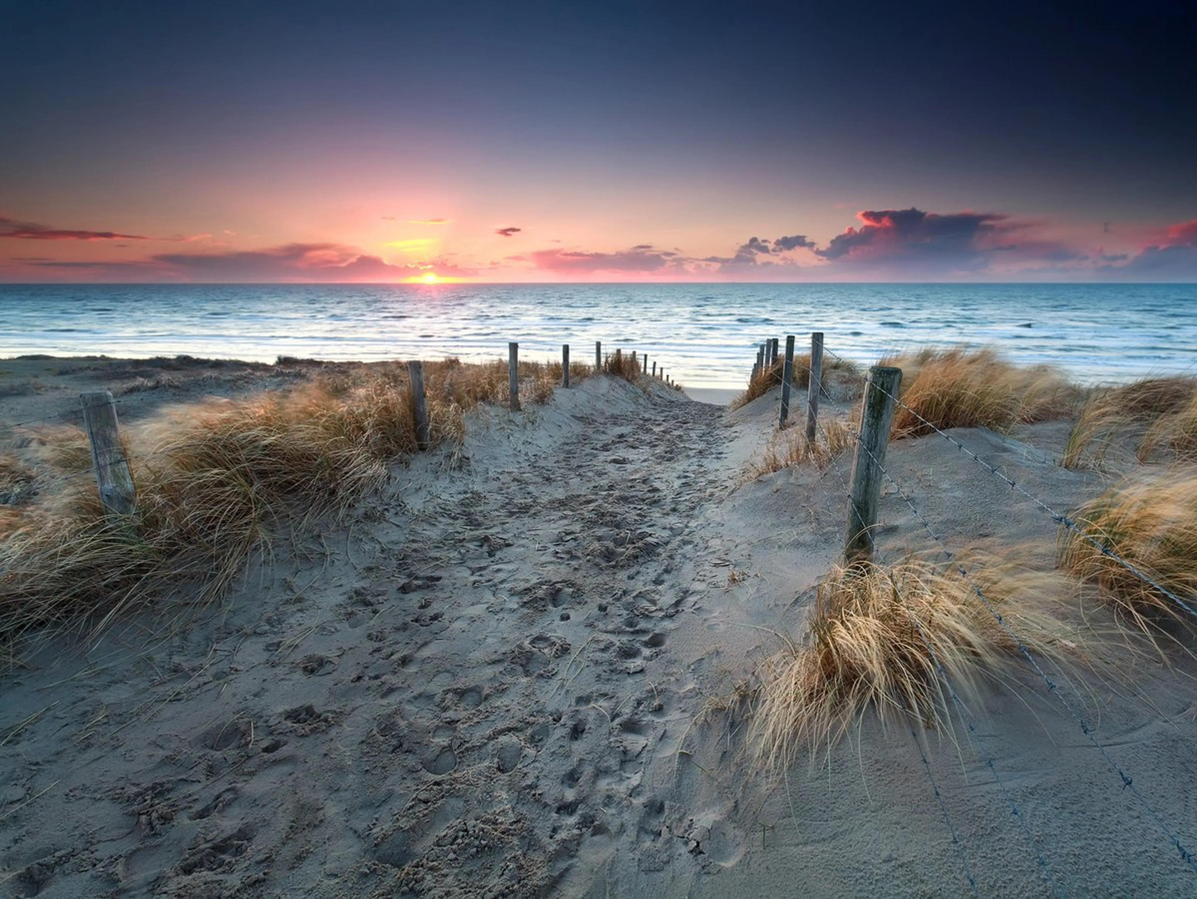 Yoga & Wandern auf Rügen: Aktive Erholung in wundervoller Landschaft - 5