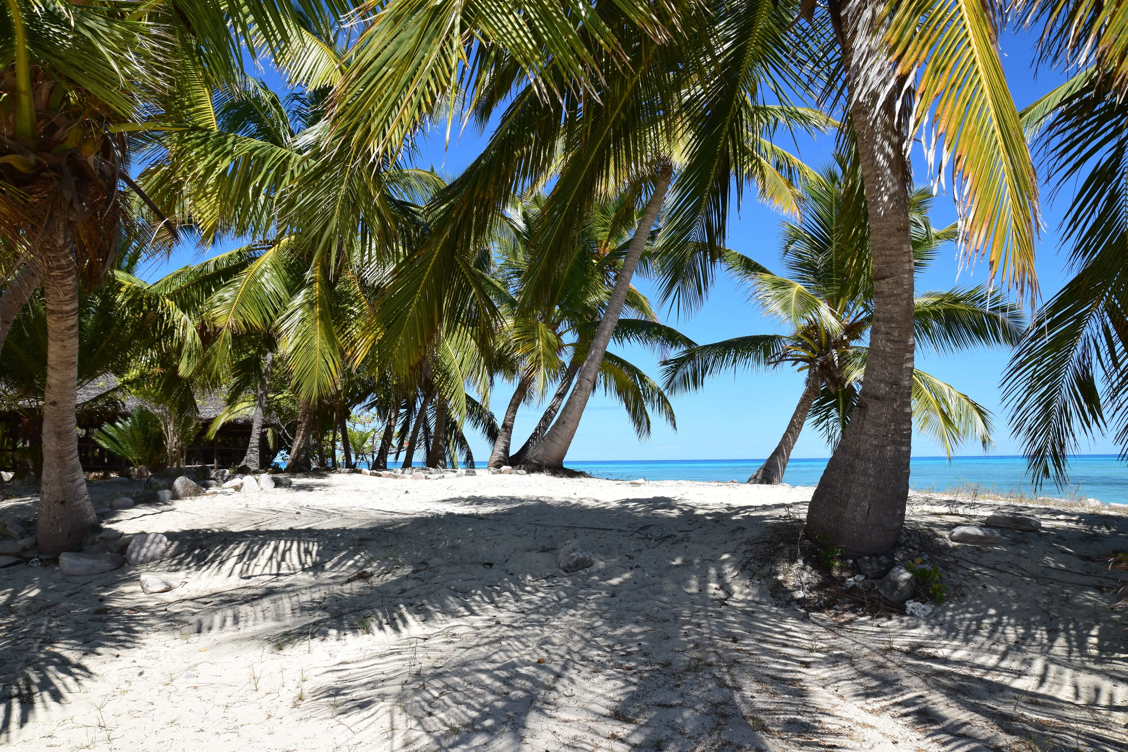 Paradiesische Yoga-Rundreise zu den Stränden Madagaskars