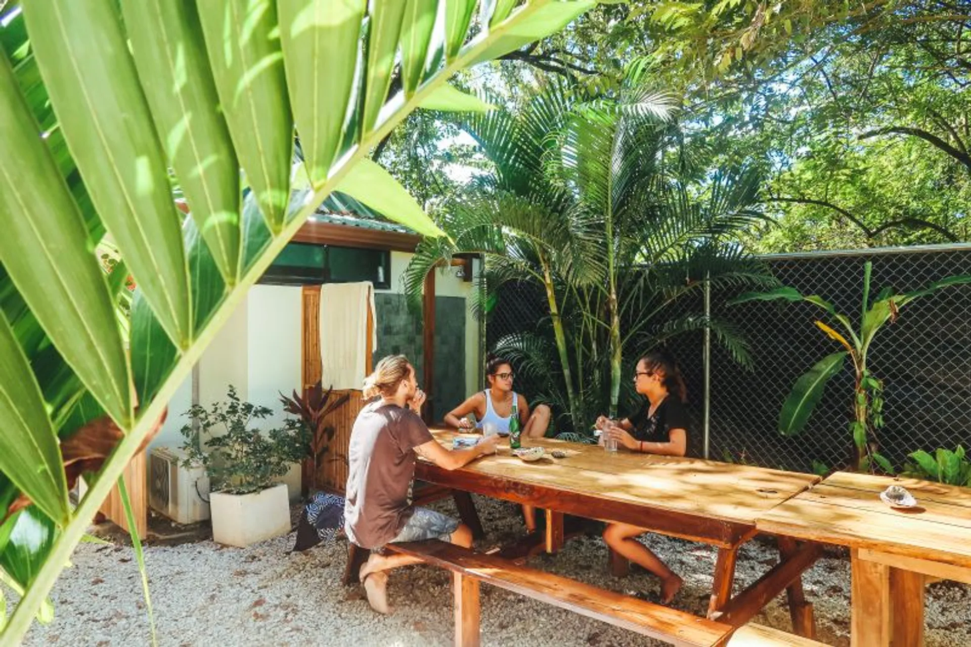 Costa Rica Surf Adventure: Sonne, Sand & Wellenspaß für alle Levels - 5
