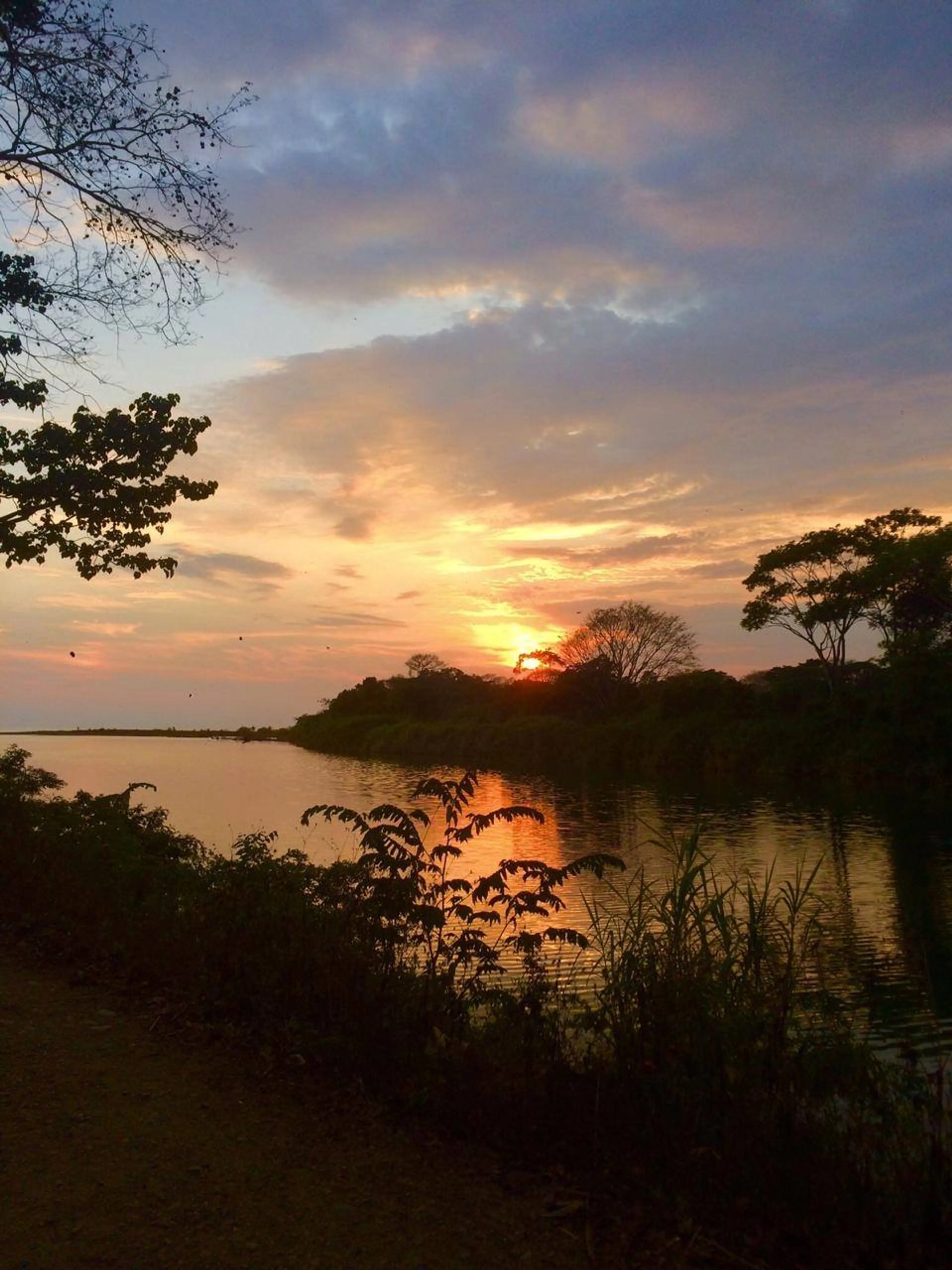 Surf & Fotografie Urlaub in Jacó: Abenteuer und Community - 5