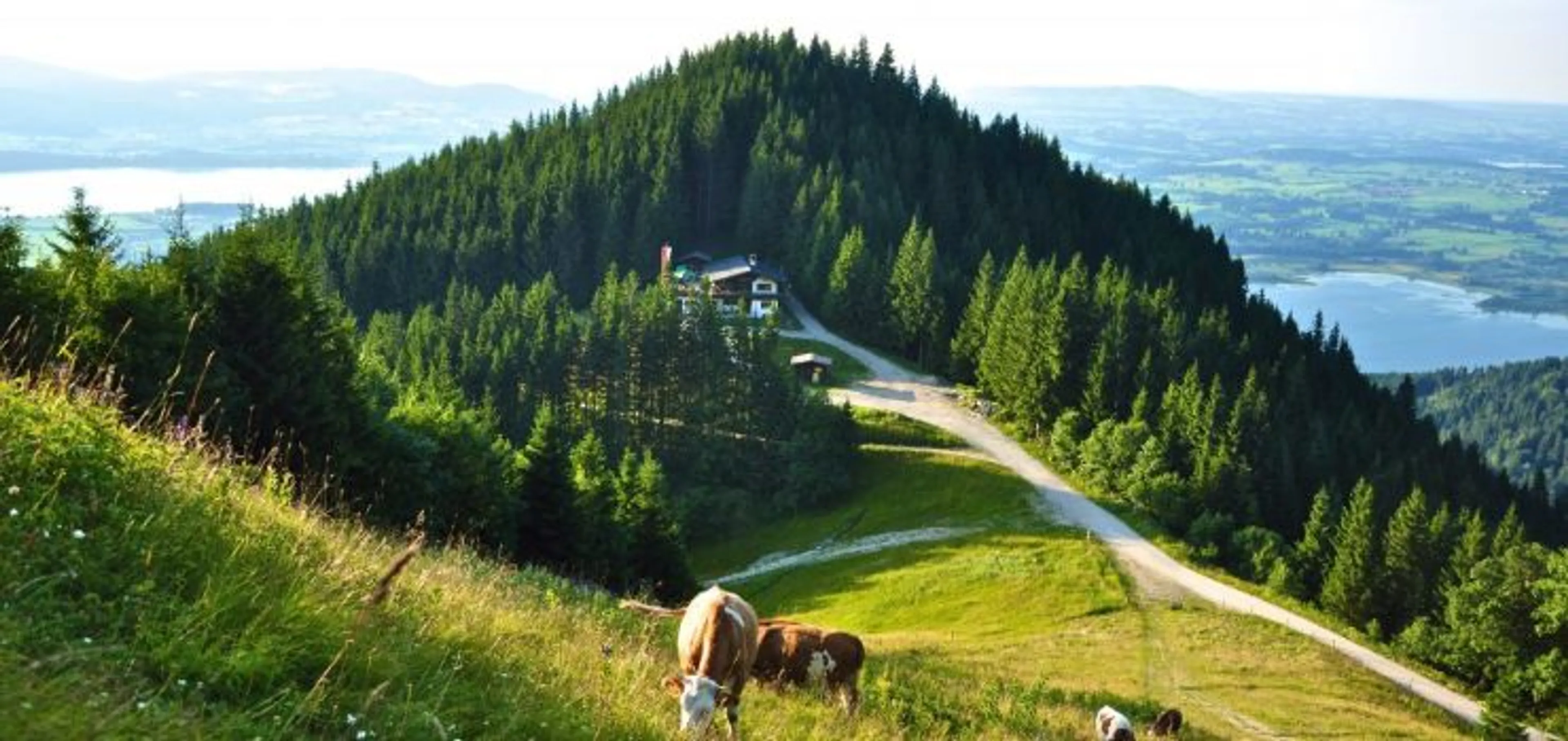 Slow down: Yoga & Wellness Wochenende mit traumhafter Aussicht - 4