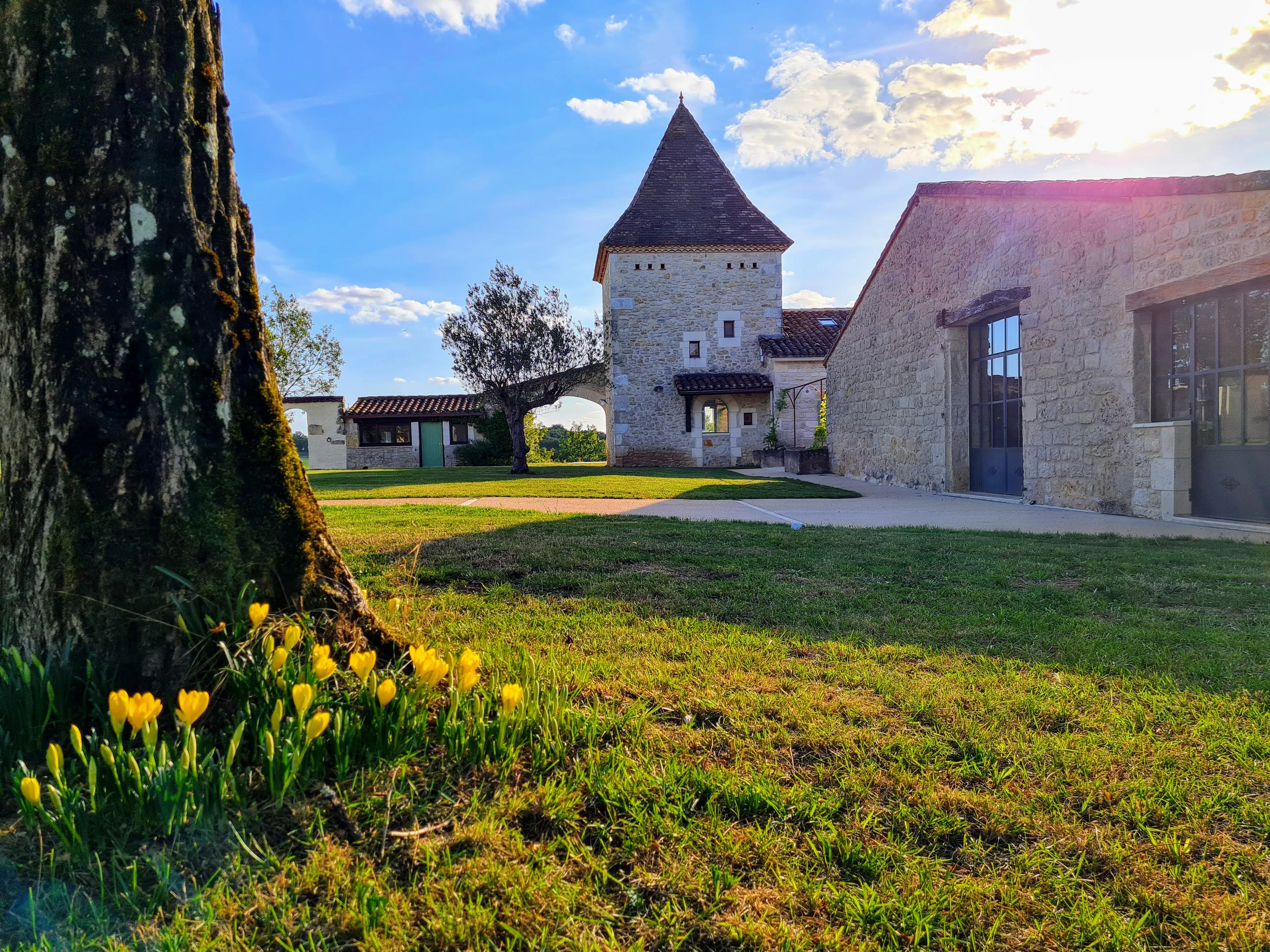 Organic Juice Detox & Yoga-Retreat in Südwestfrankreich - 1