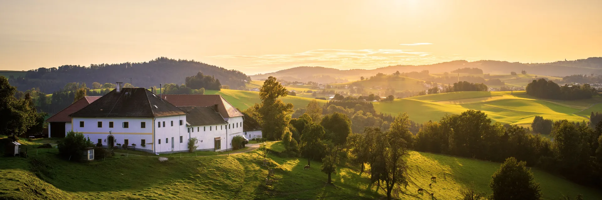 Yoga, Wandern und Alpaka-Abenteuer in malerischer Umgebung - 4
