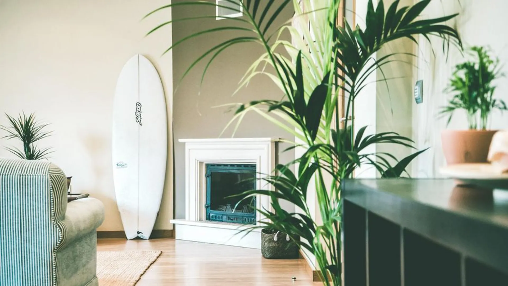 Surf-Guiding rund um Santa Cruz: Leere Line-Ups und perfekte Wellen - 5