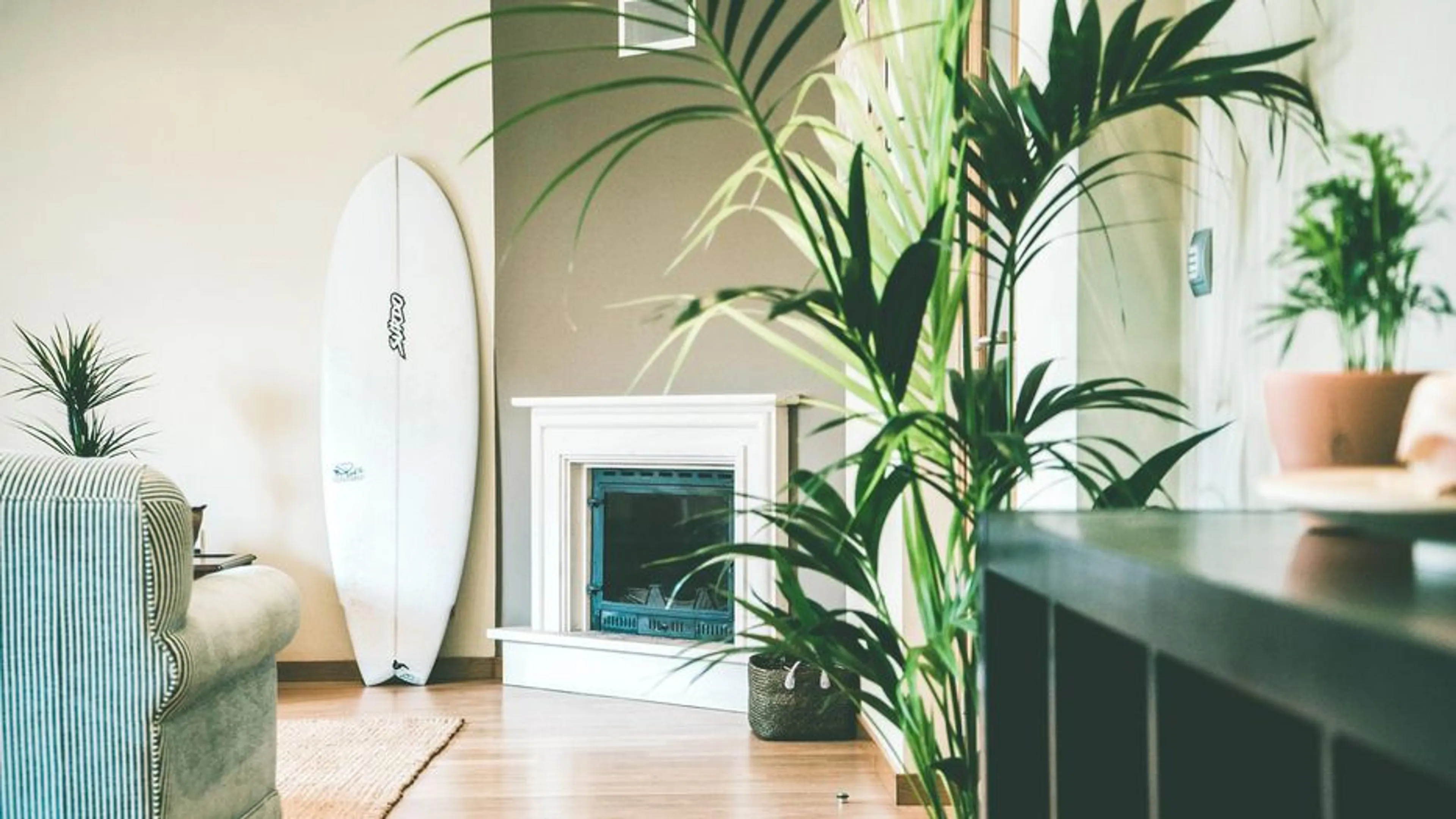 Surf-Guiding rund um Santa Cruz: Leere Line-Ups und perfekte Wellen - 5