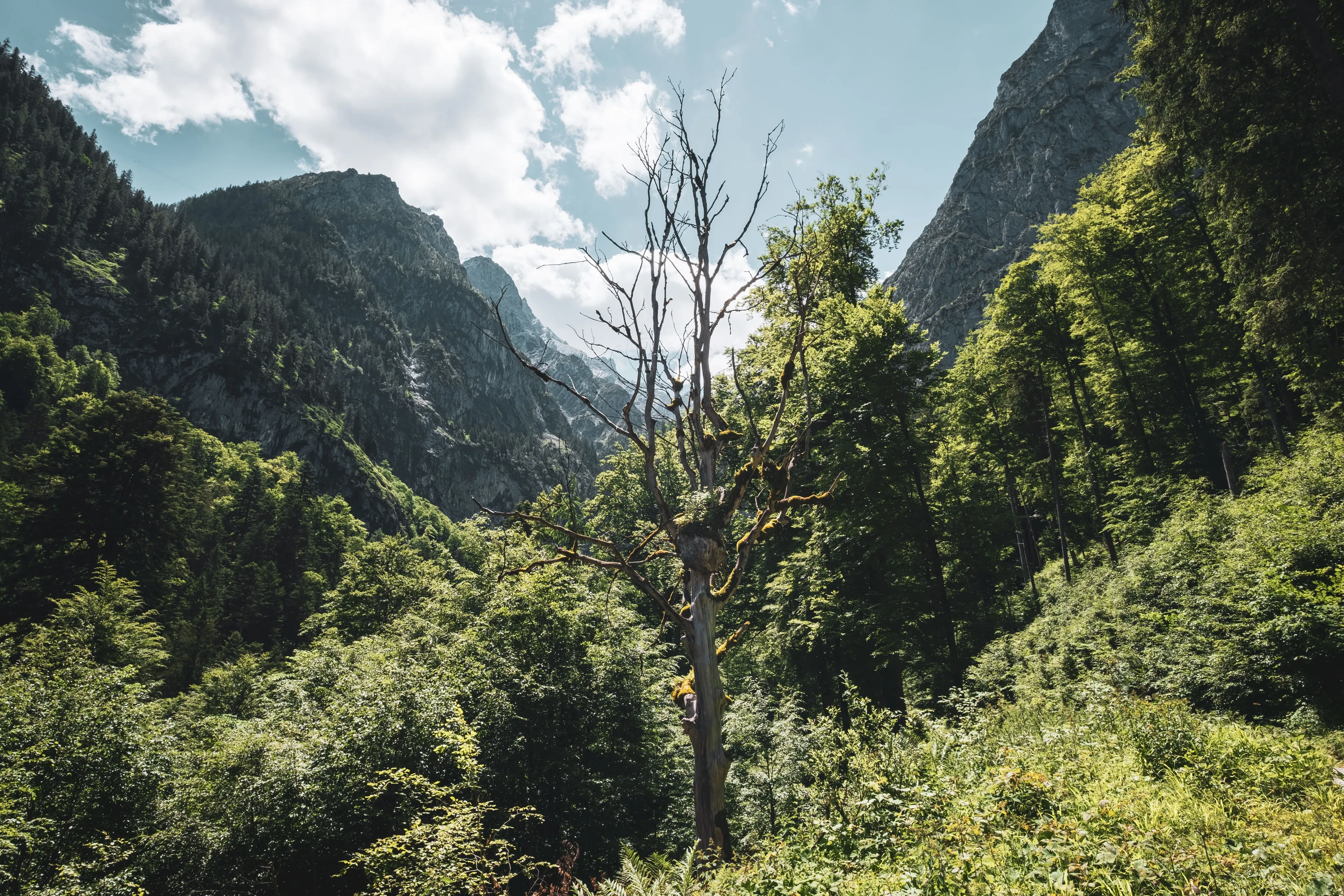 Spektakuläre Gipfelparade rund um Oberammergau - 5