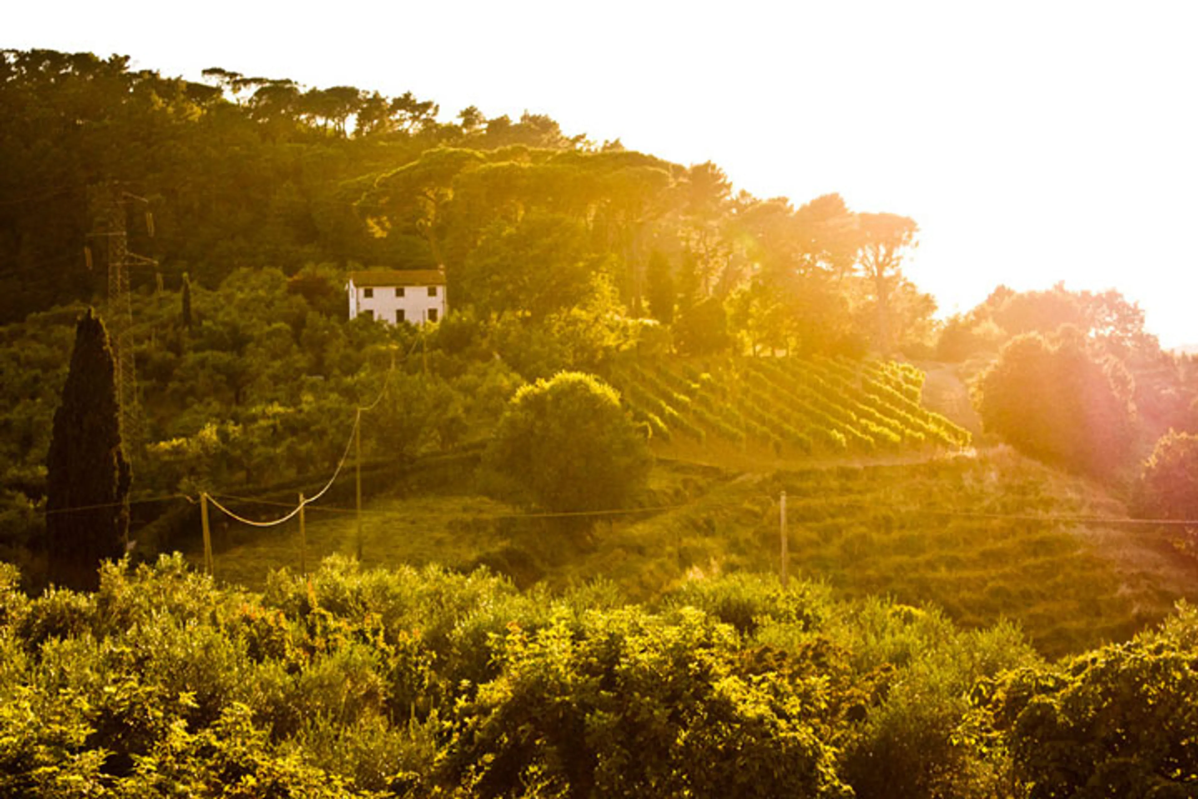 Portraitfotografie, Meditation und Qi Gong Retreat in der Toskana - 2