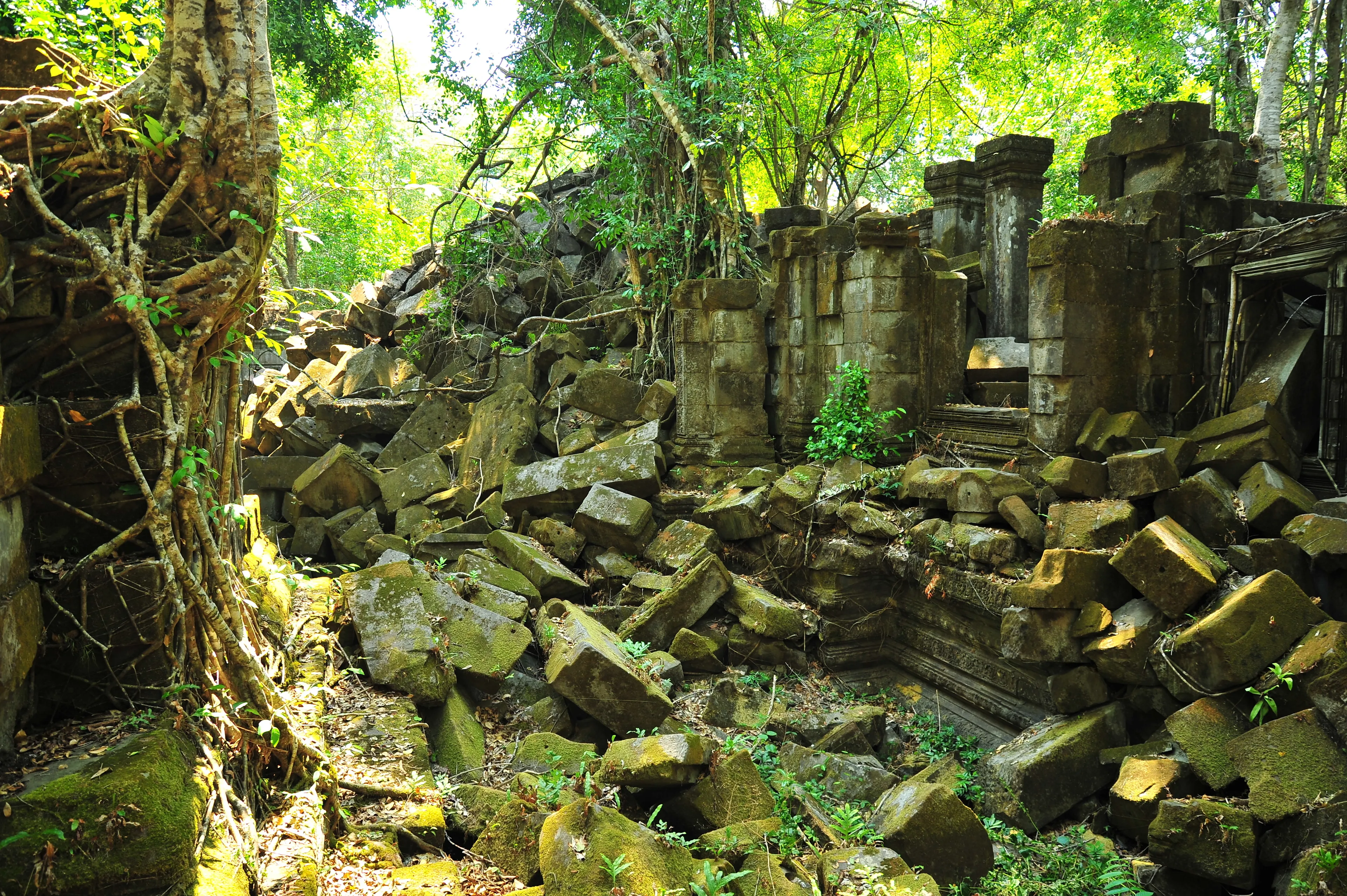 Siem Reap Abenteuer-Tour: Trekking und Camping im Kulen-Gebirge - 4