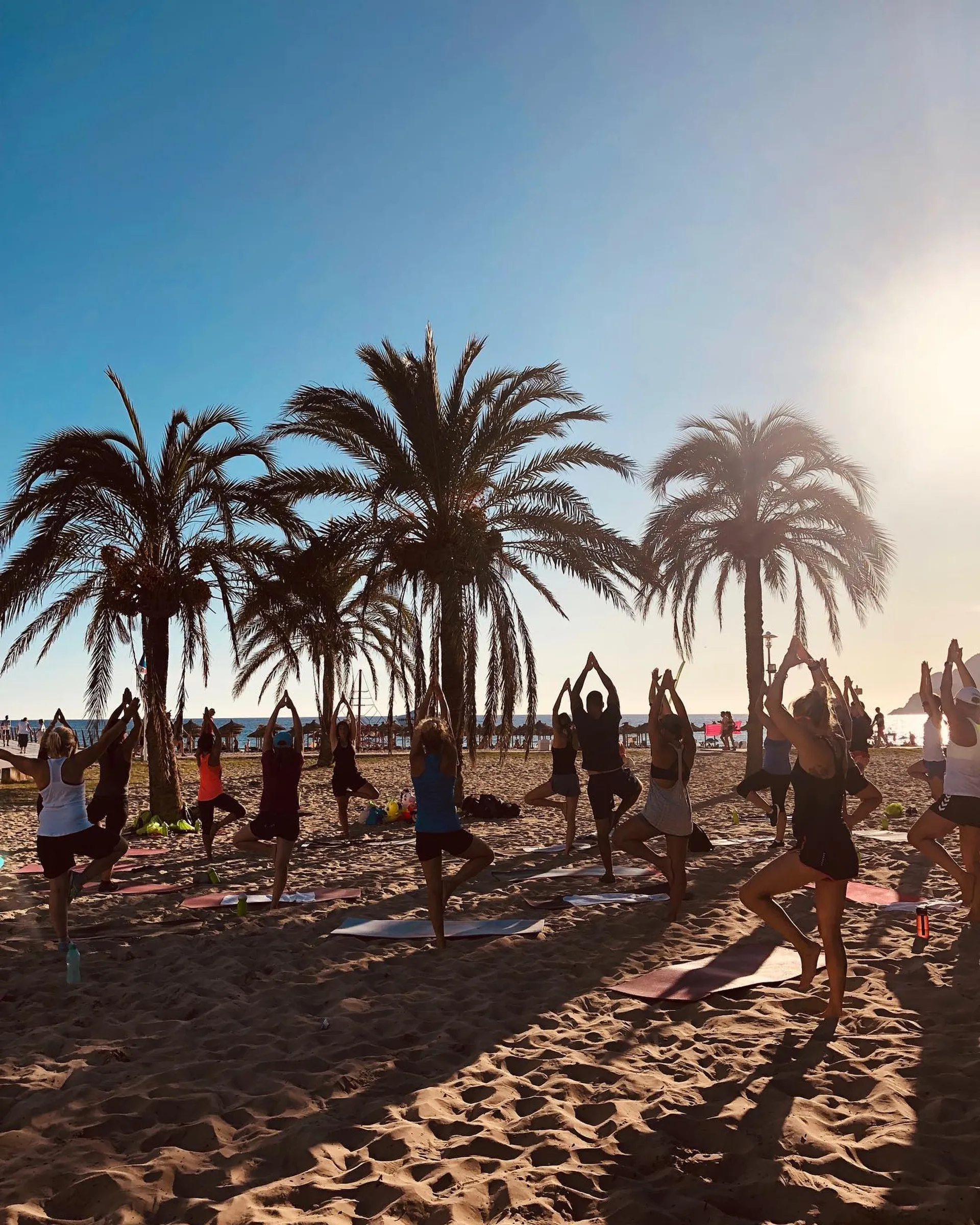 Auspowern im Team: Fitness-Reise in die Sonne Teneriffas - 3