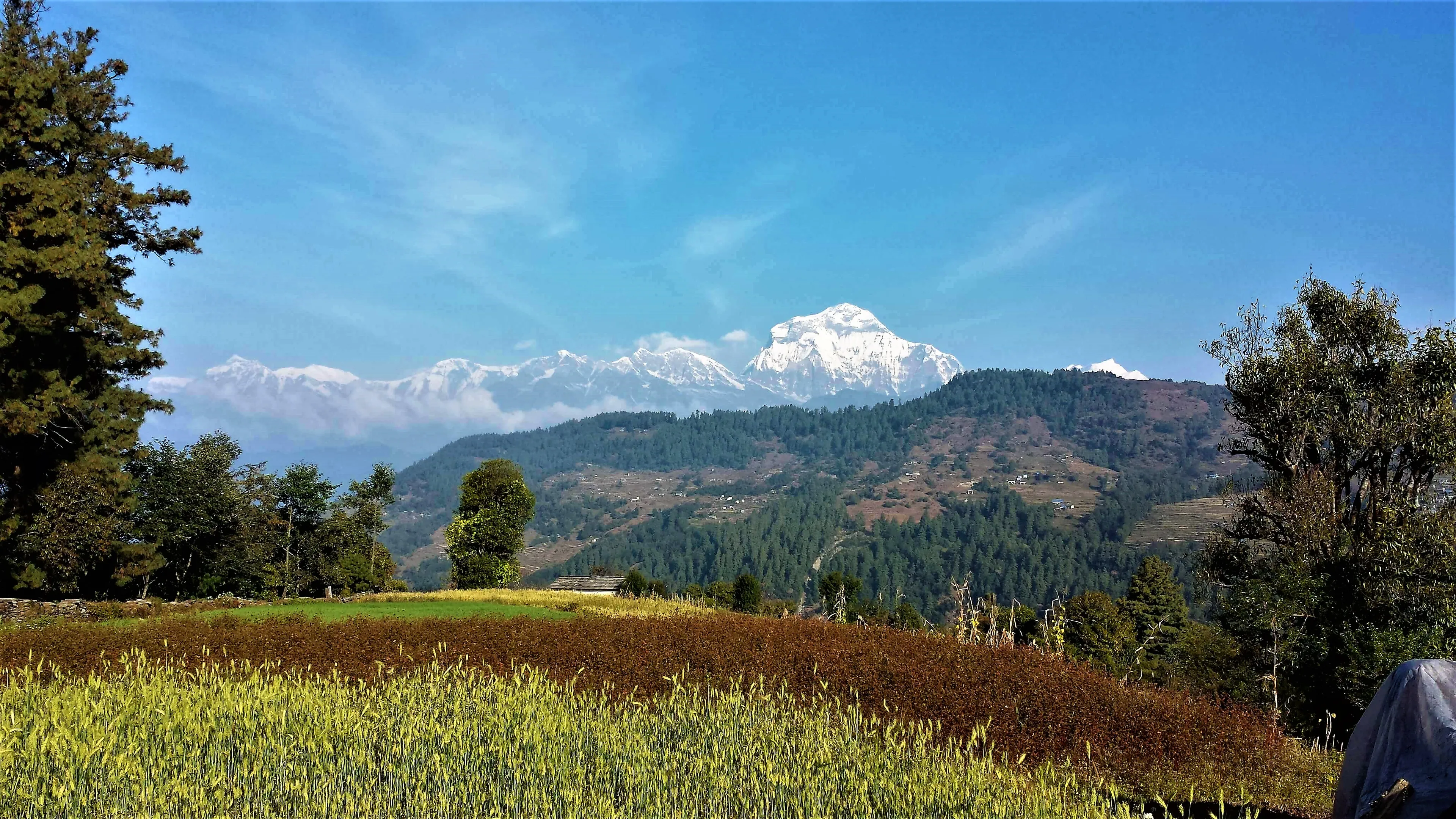 Kulturelles Trekking durch Nepals einzigartige Natur - 1