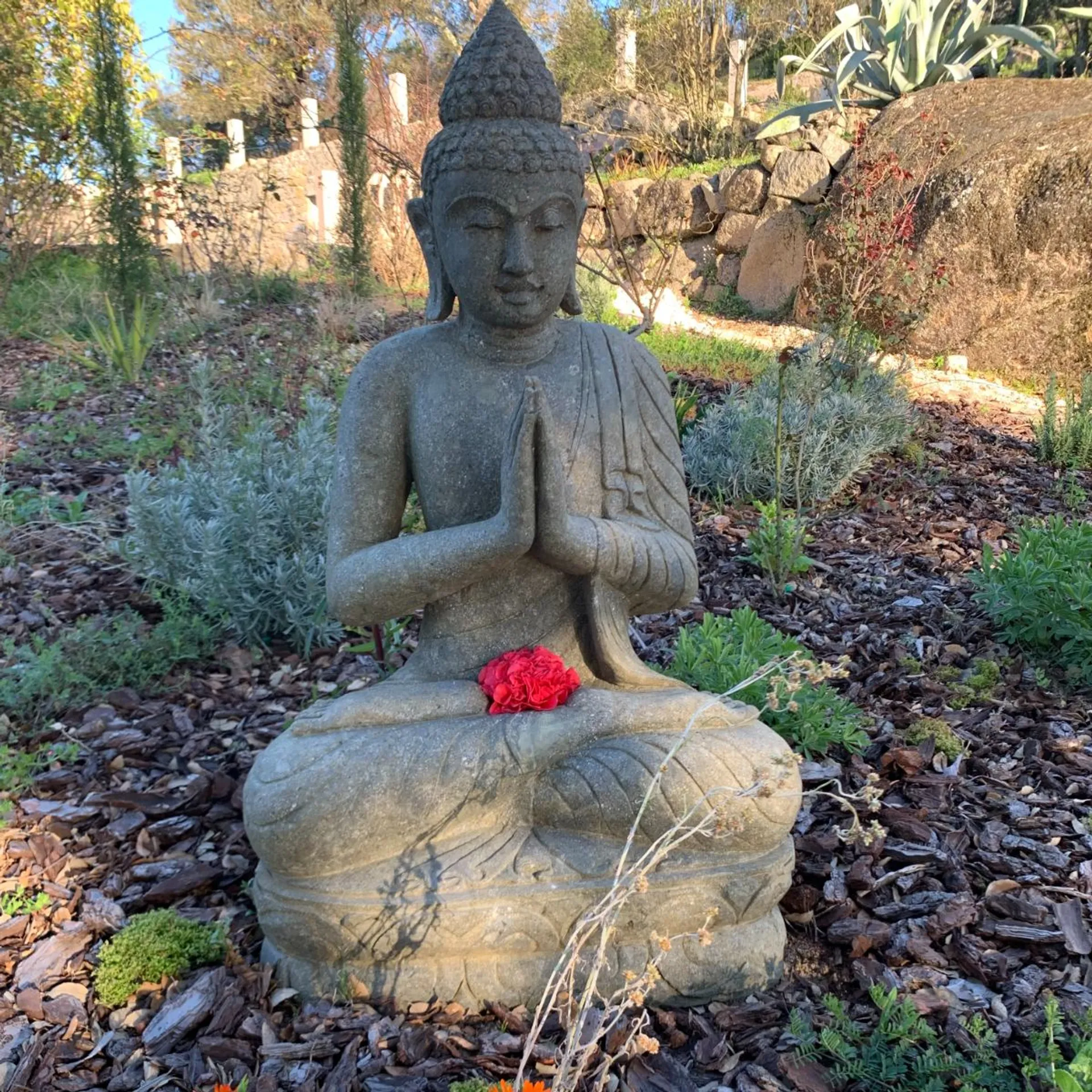 RE:CONNECT Functional Yoga & Movement Retreat an der Algarve - 4