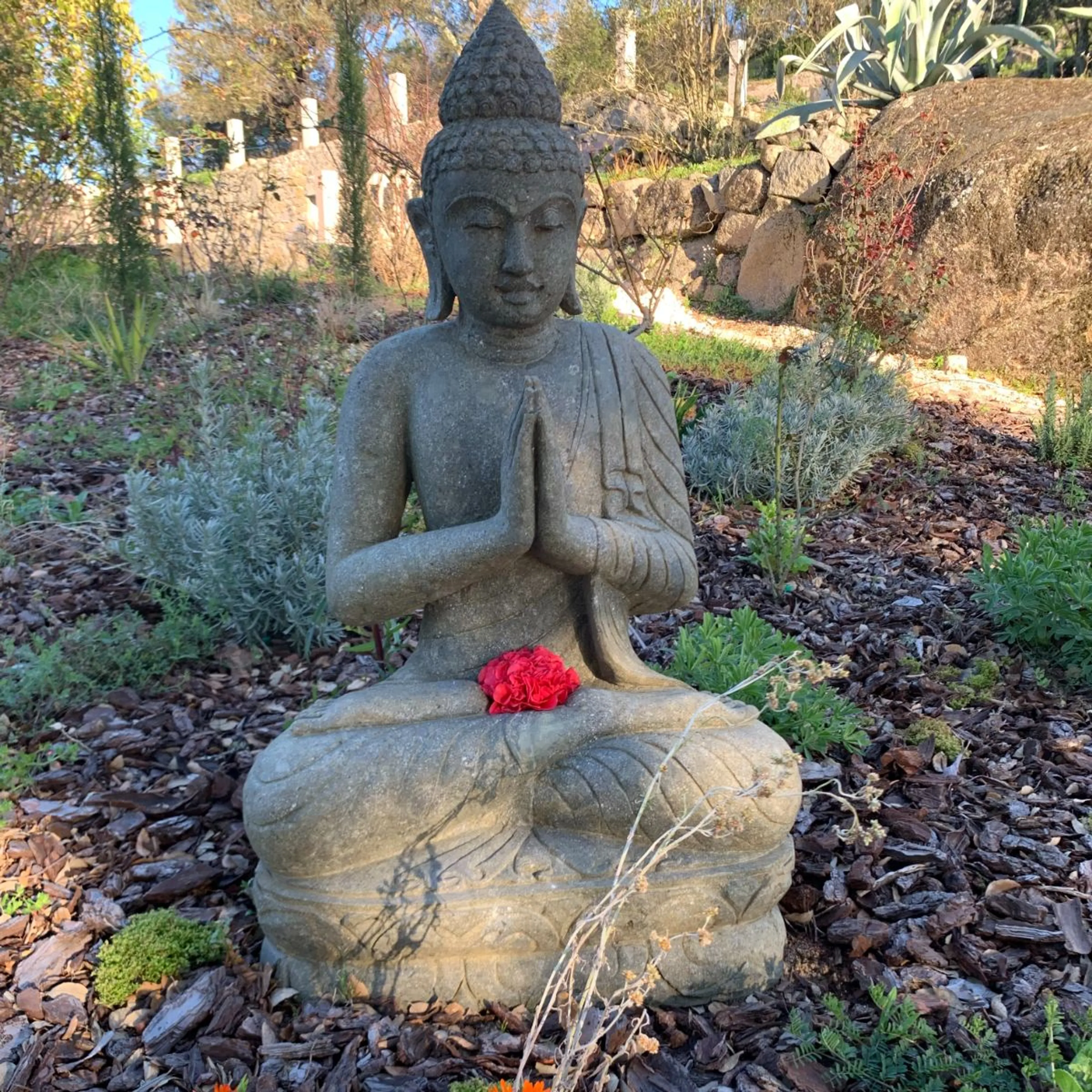 RE:CONNECT Functional Yoga & Movement Retreat an der Algarve - 4