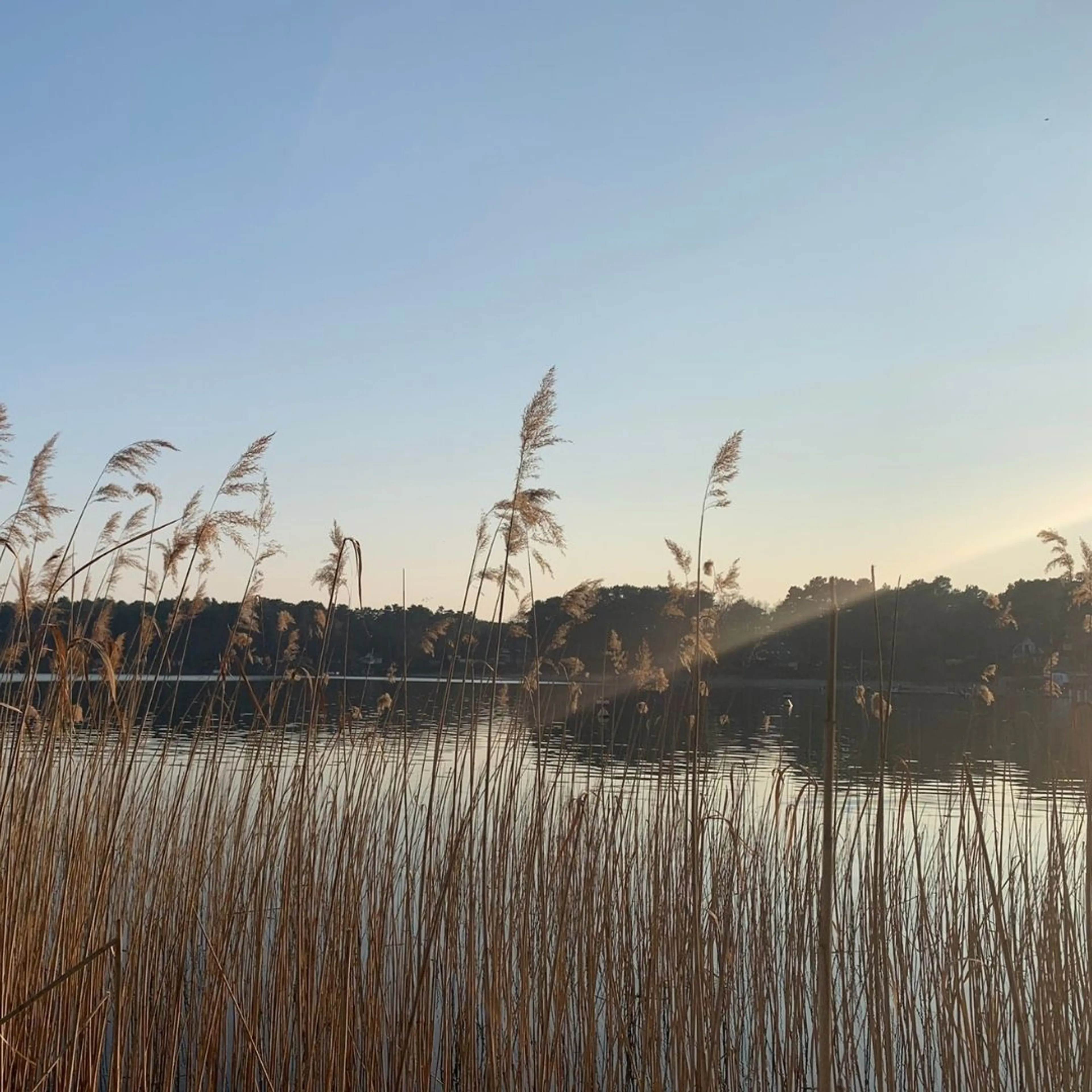 Women's Retreat mit Yoga, Achtsamkeit & Circle - 3