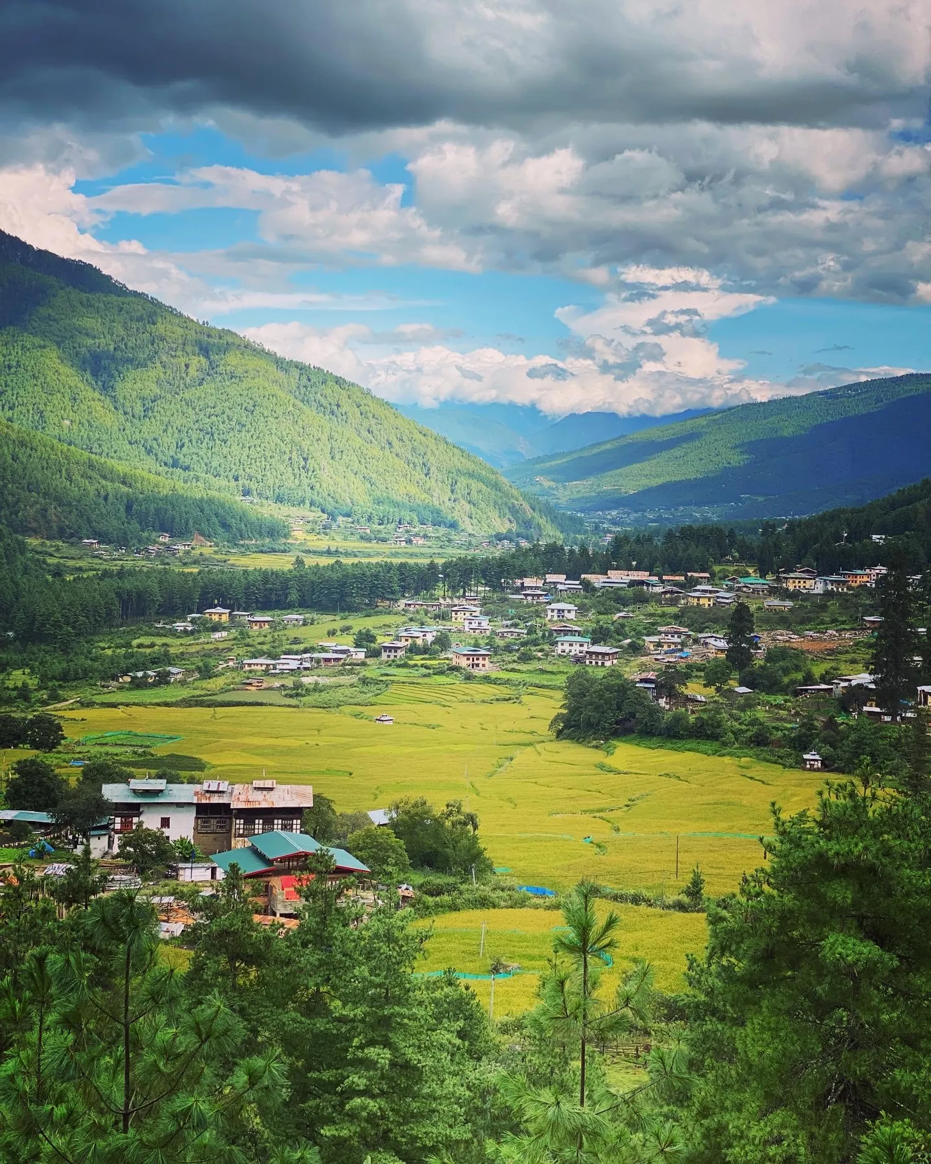 Himalaya-Trails in Bhutan - Reise in das Land des Glücks! - 5